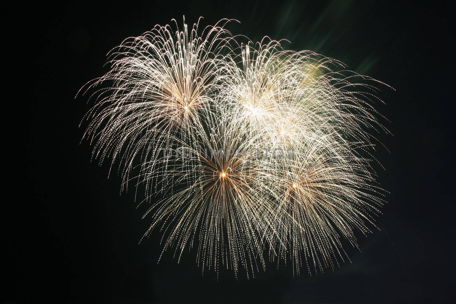 koosh ball fireworks against the dark sky
