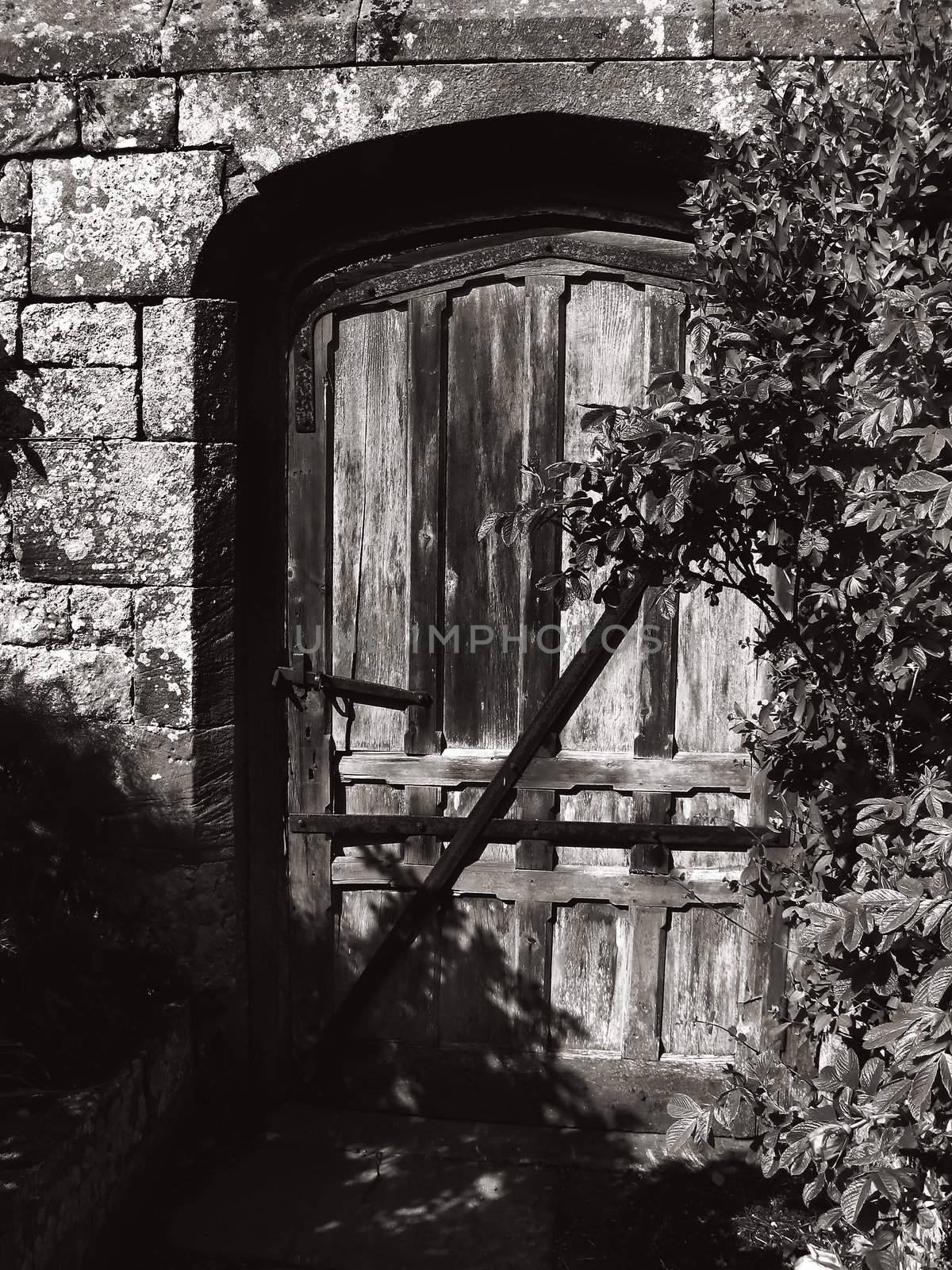 old door