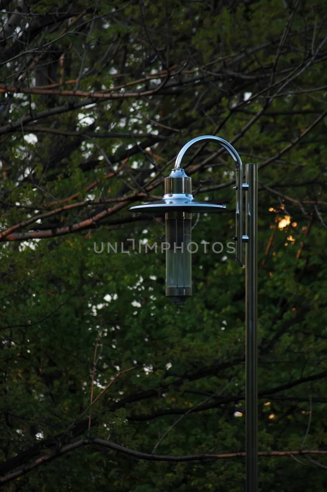 lamp in park in Poland