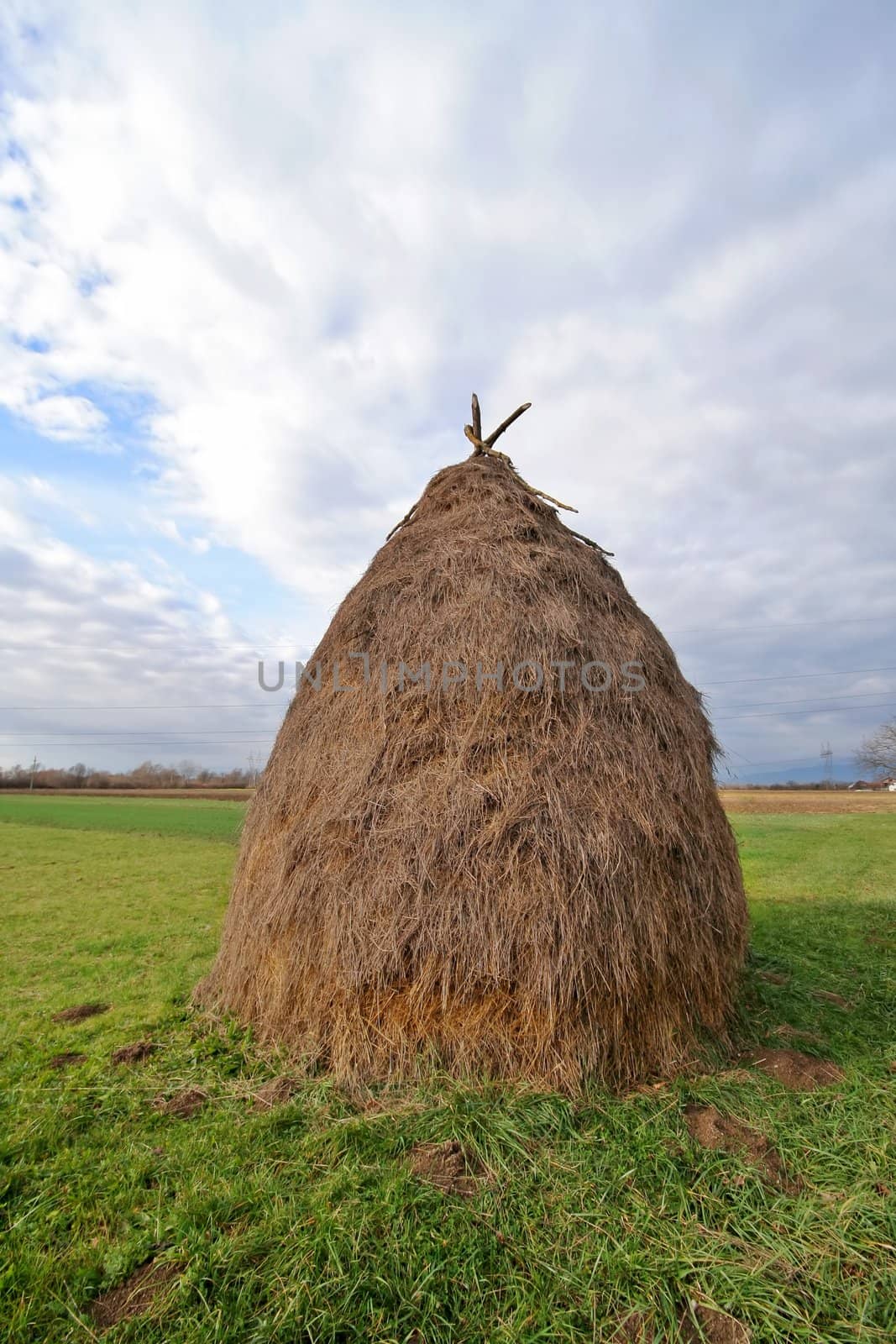 Hay pile in the meadow 