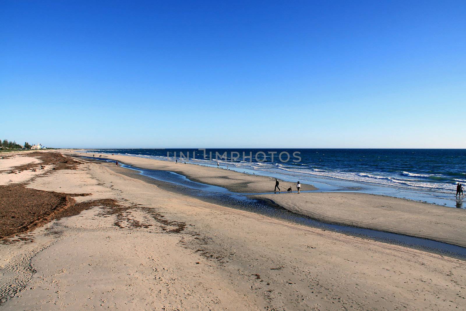 Evening Walkers along Largs Beach, Adelaide, Australia by Cloudia