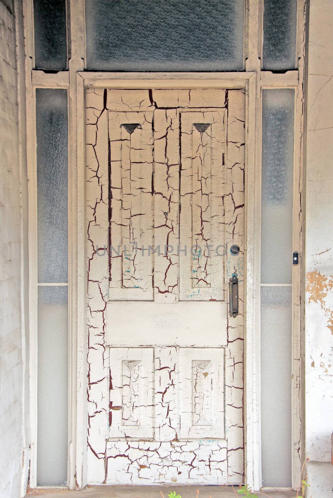 Front Door in need of Renovation by Cloudia