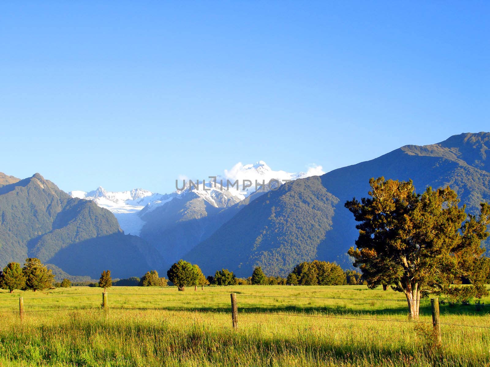 Evening light over a grassy field in front of Mount Cook and Mou by Cloudia