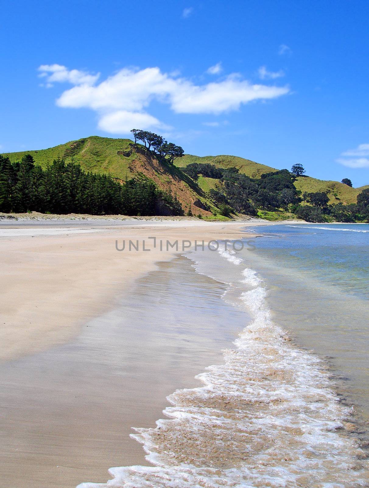 Whangapoua Beach, Great Barrier Island, New Zealand by Cloudia