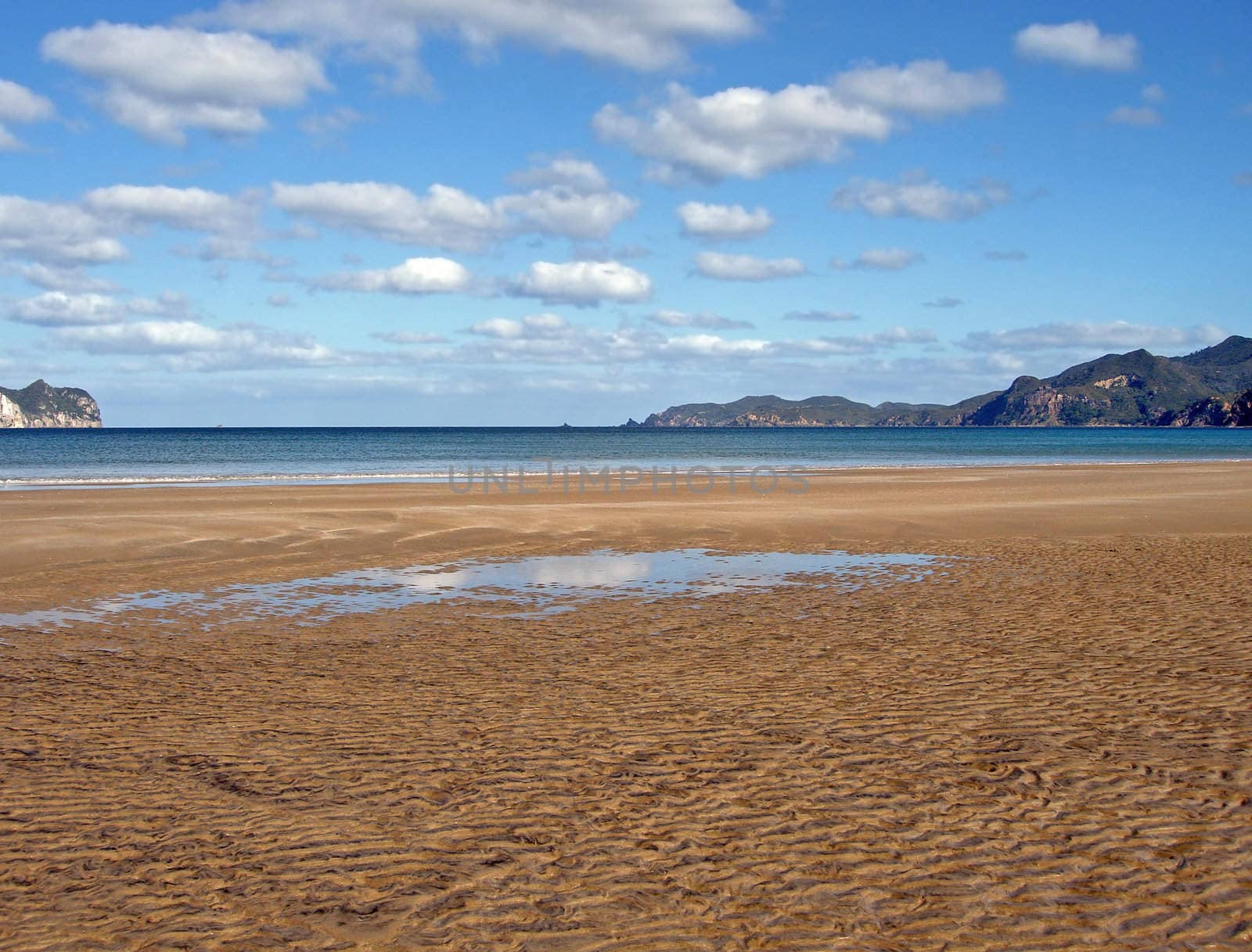 Whangapoua Beach at Low Tide, Great Barrier Island, New Zealand by Cloudia