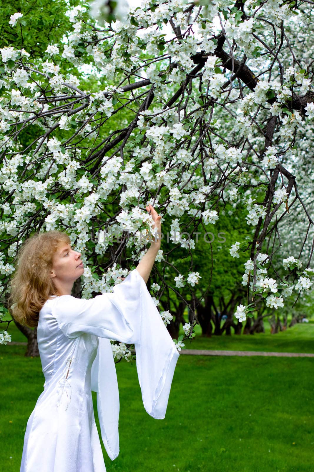 The blonde girl in white dress and apple-tree with white flowers
