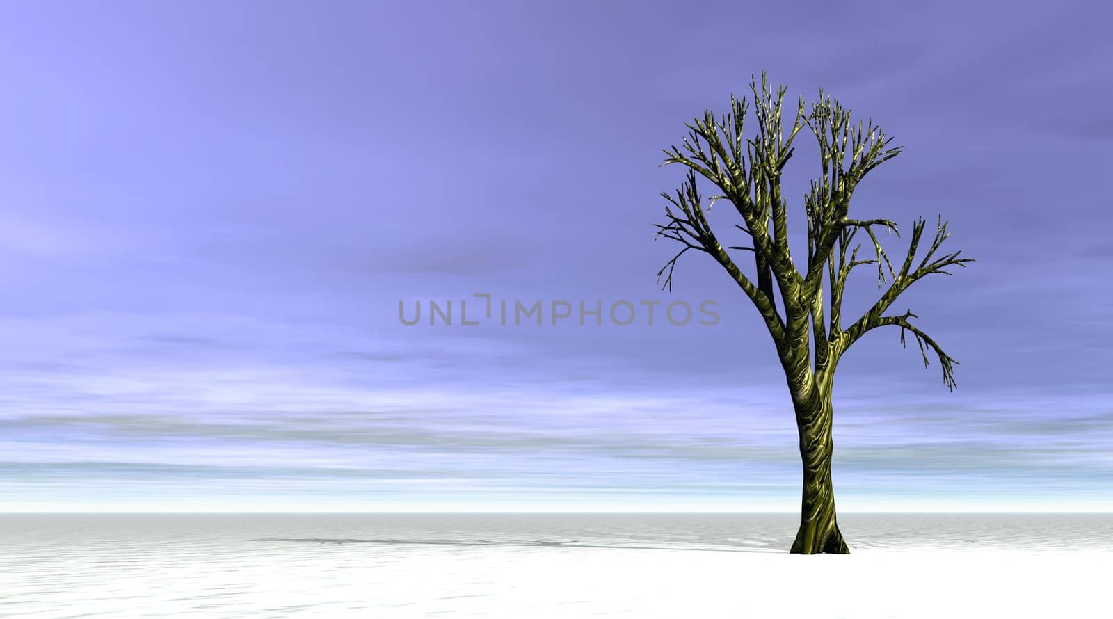 Winter tree in grey cloudy sky and snow landscape