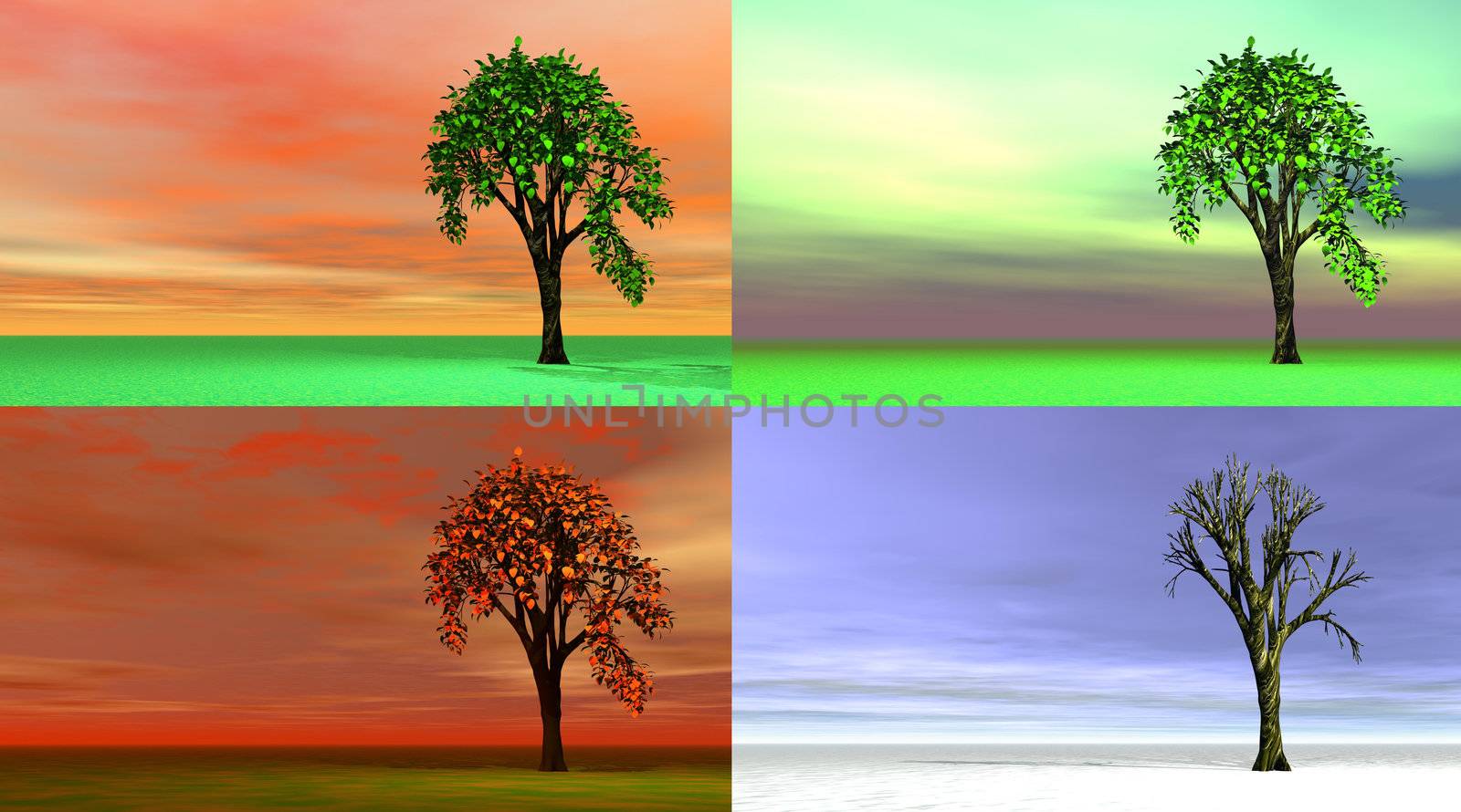 Four images representing each season with different colors end trees