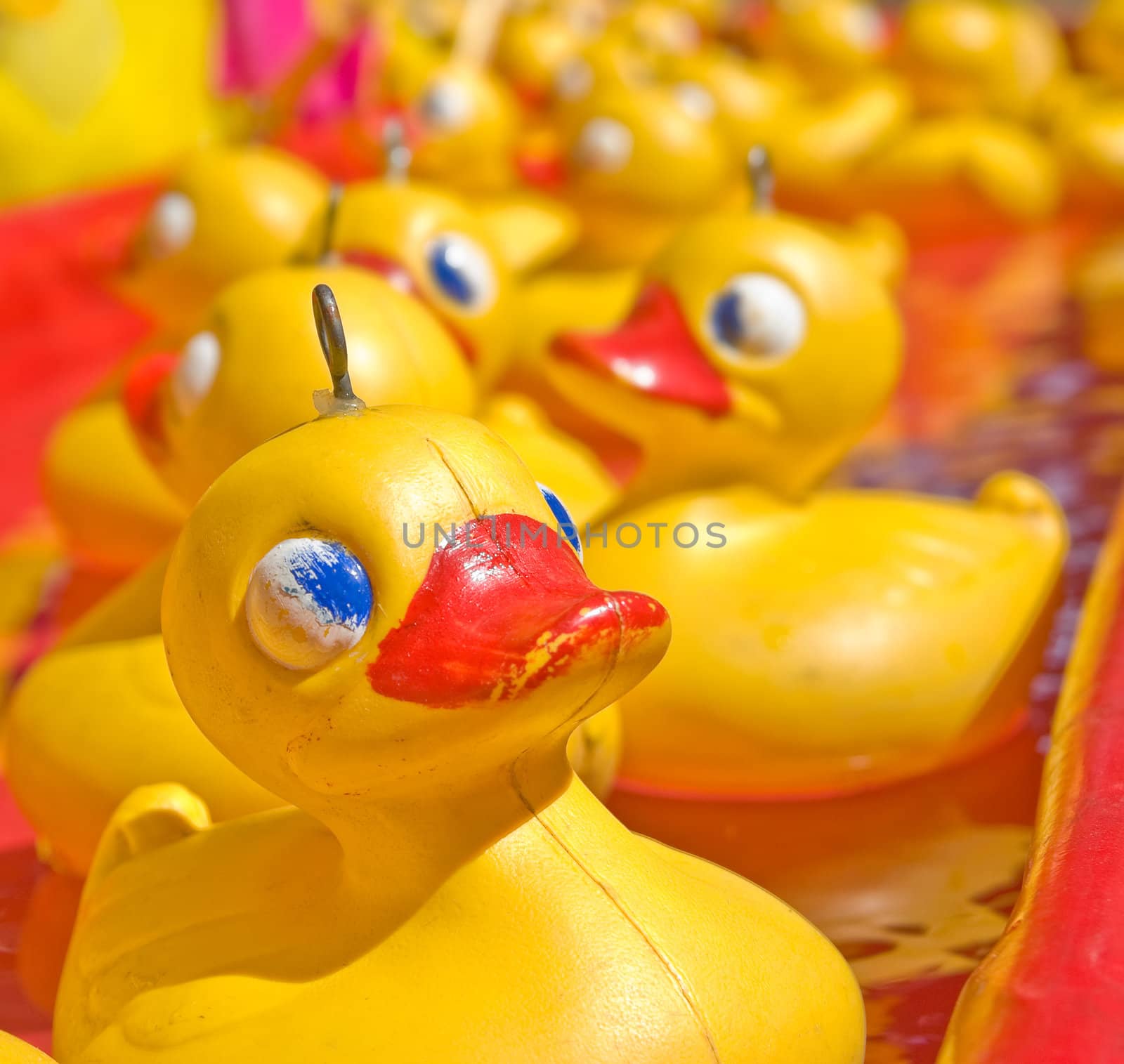 yellow duck by clearviewstock