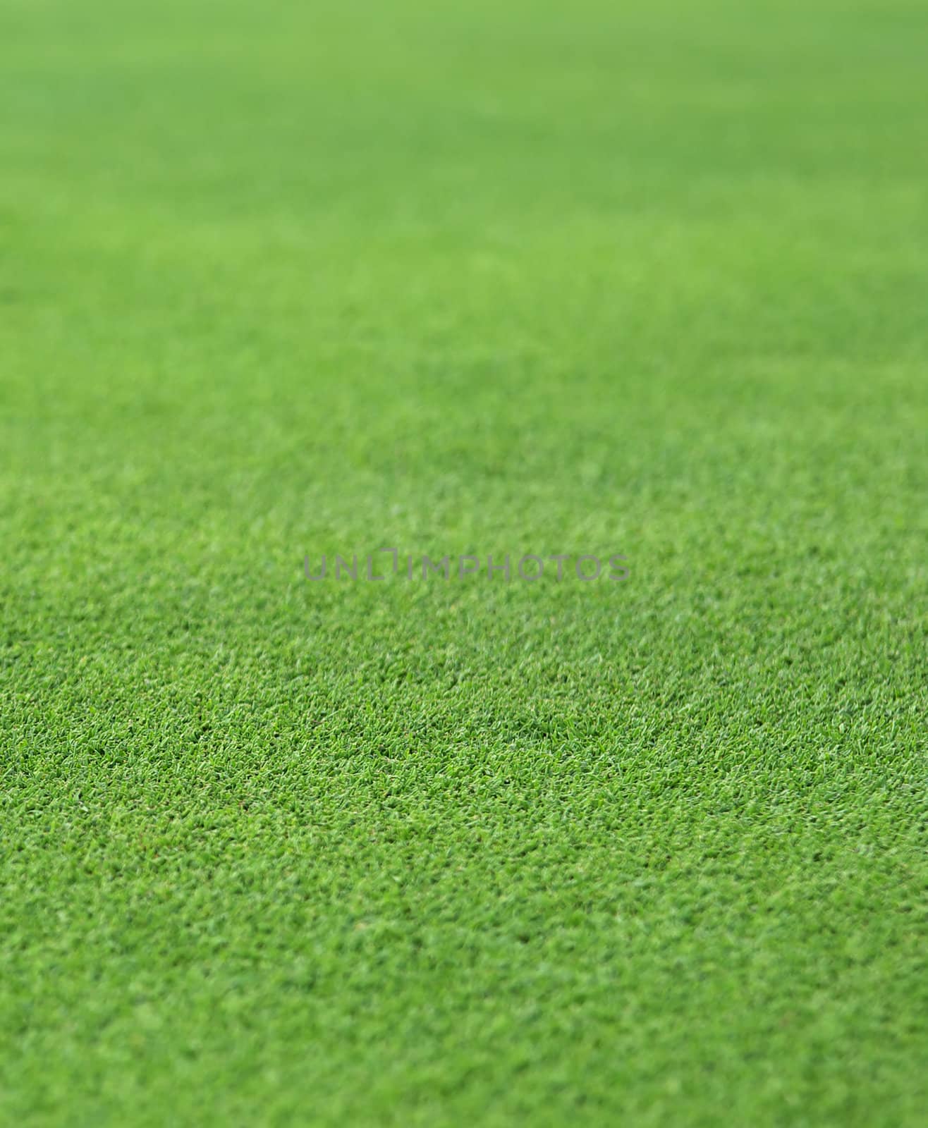 the finely manicured green grass or turf from a golf hole green