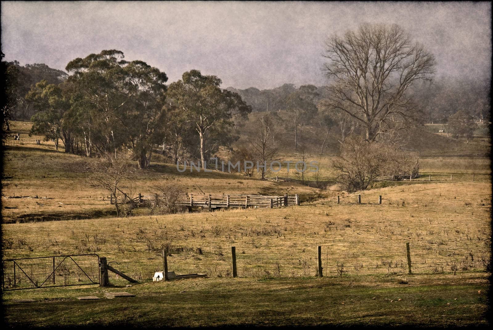 old rickety bridge in the middle of the farm pasture