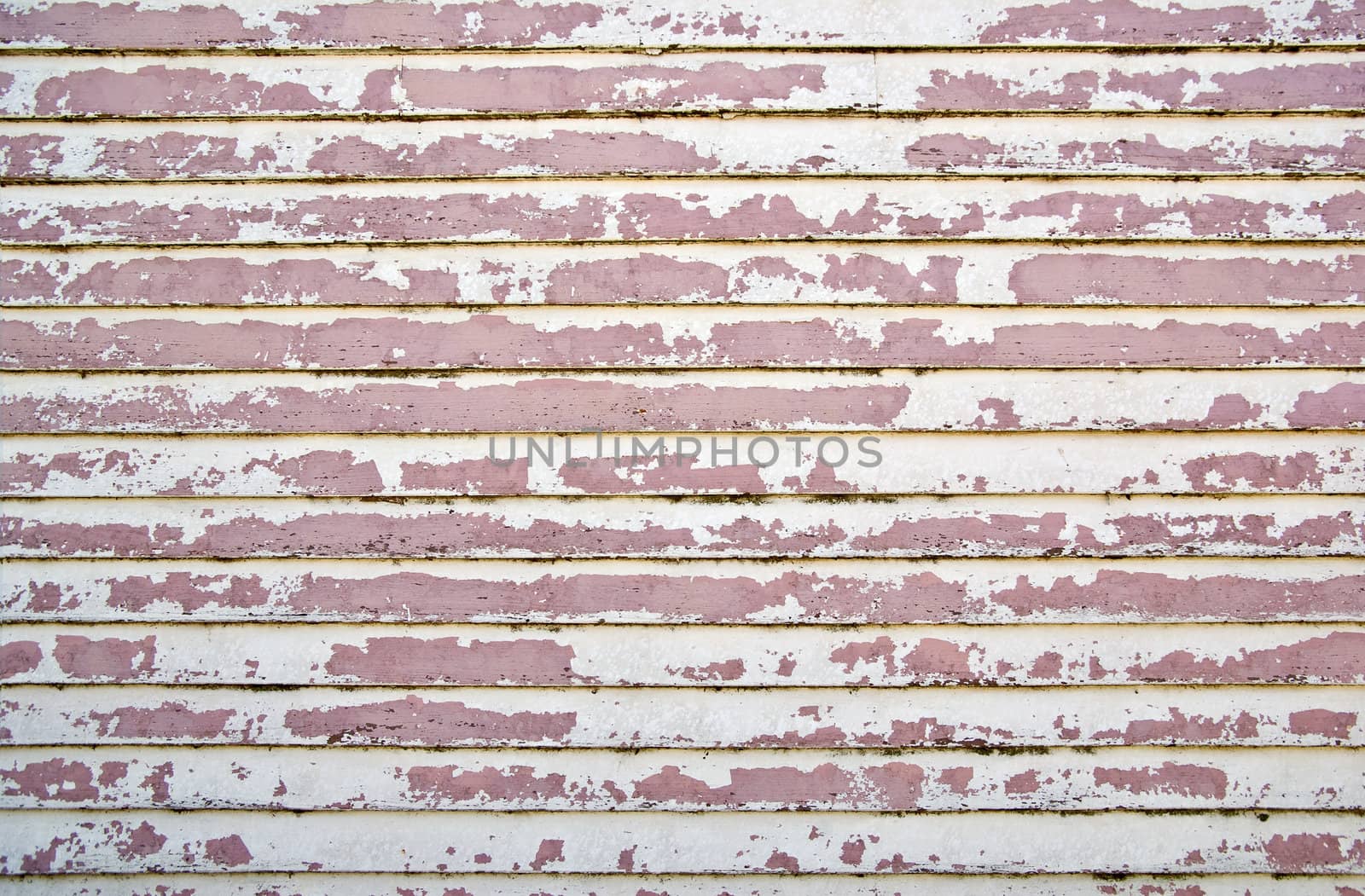 old weatherboard wooden wall all the paint peeling