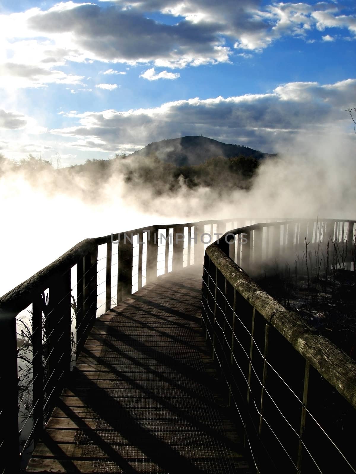 Wooden walkway through geothermal steam  in Kuirau Park, Rotorua by Cloudia