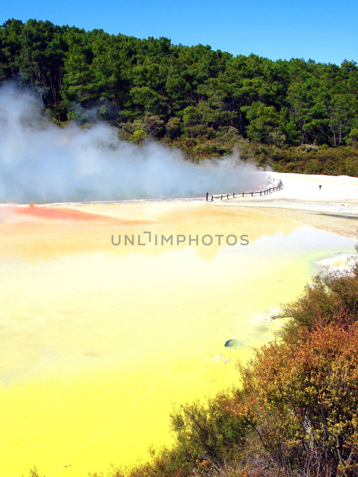 Geothermal Activity of the Artist's Pallette Pool, Waiotapu Thermal Reserve, New Zealand