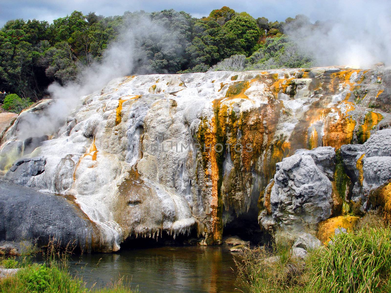 Pohutu Geyser, Whakarewarewa Thermal Reserve, Rotorua, New Zealand