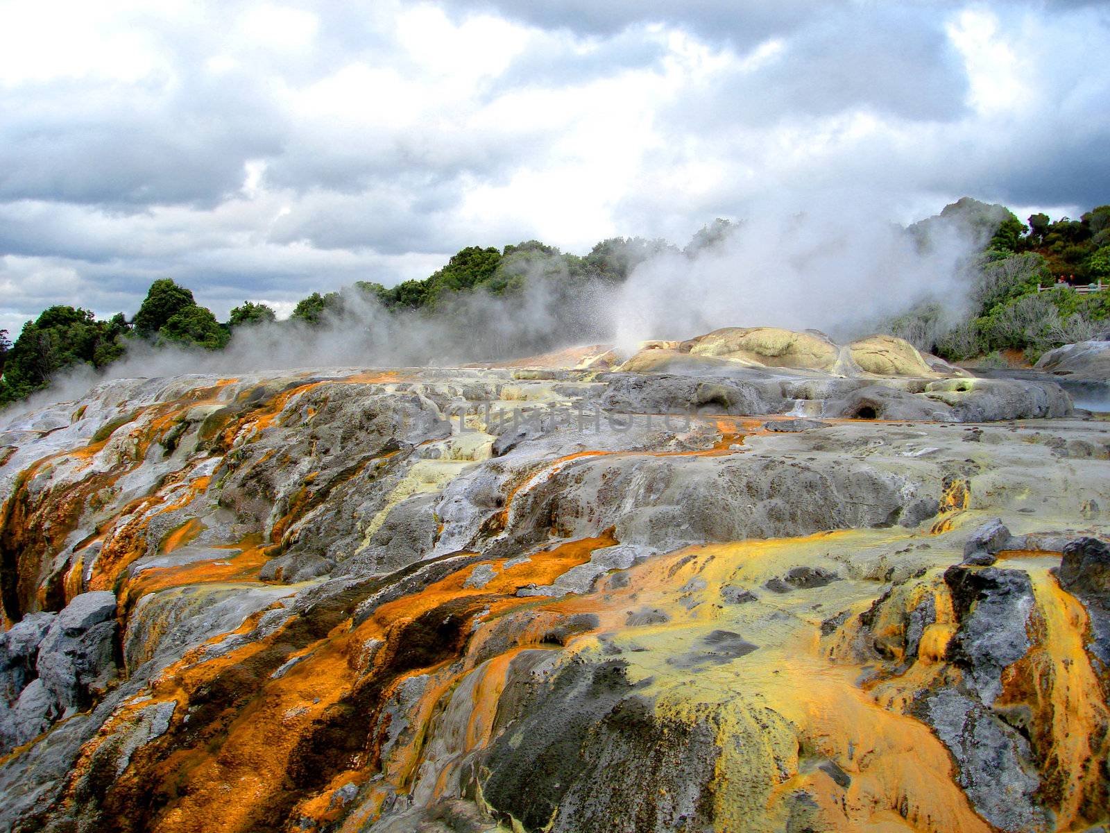 Pohutu Geyser, Whakarewarewa Thermal Reserve, Rotorua, New Zealand