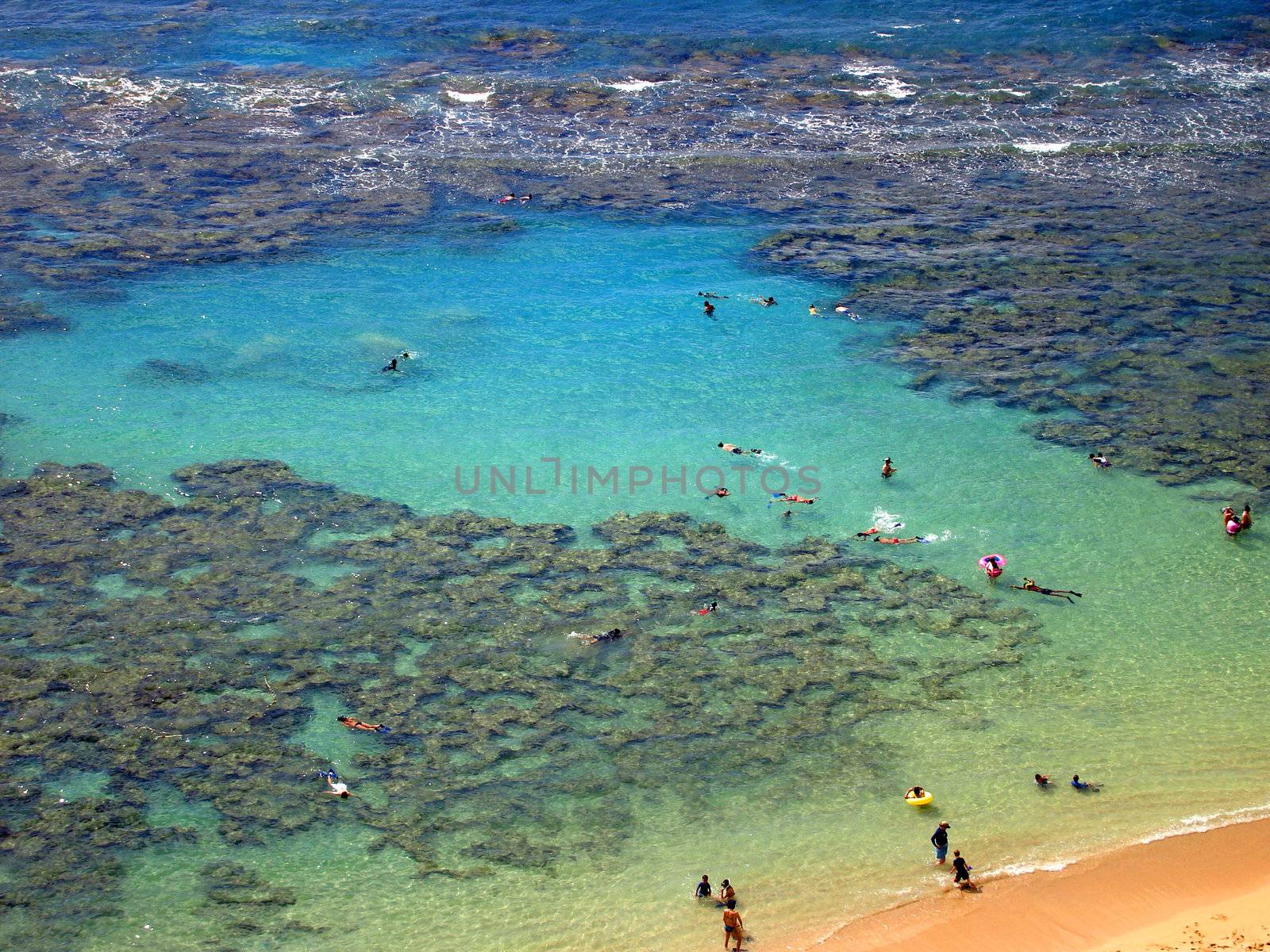 Aerial view of Snorkelers and Families swimming around the coral by Cloudia