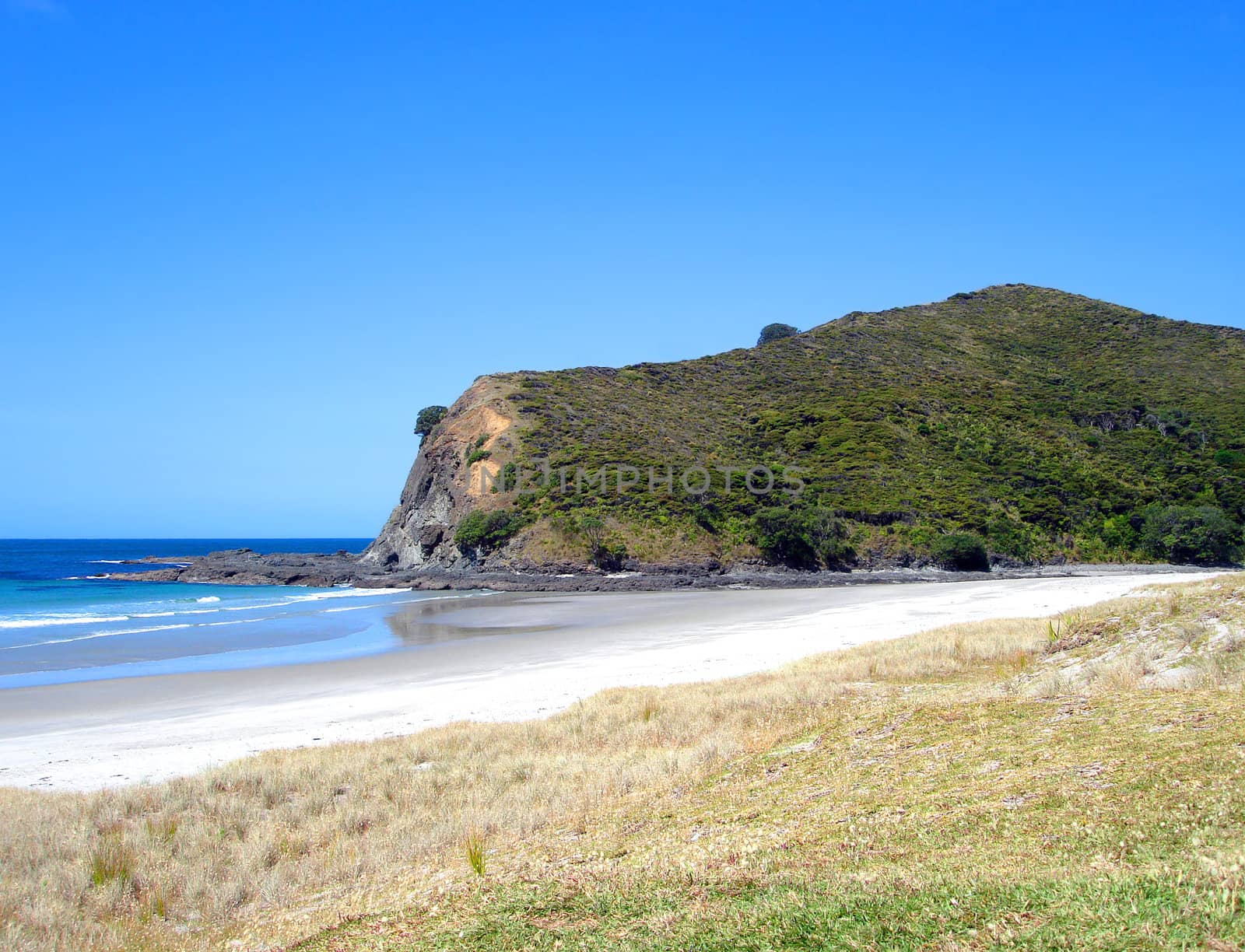 Sandy Beach at Tapotupotu Bay, New Zealand by Cloudia