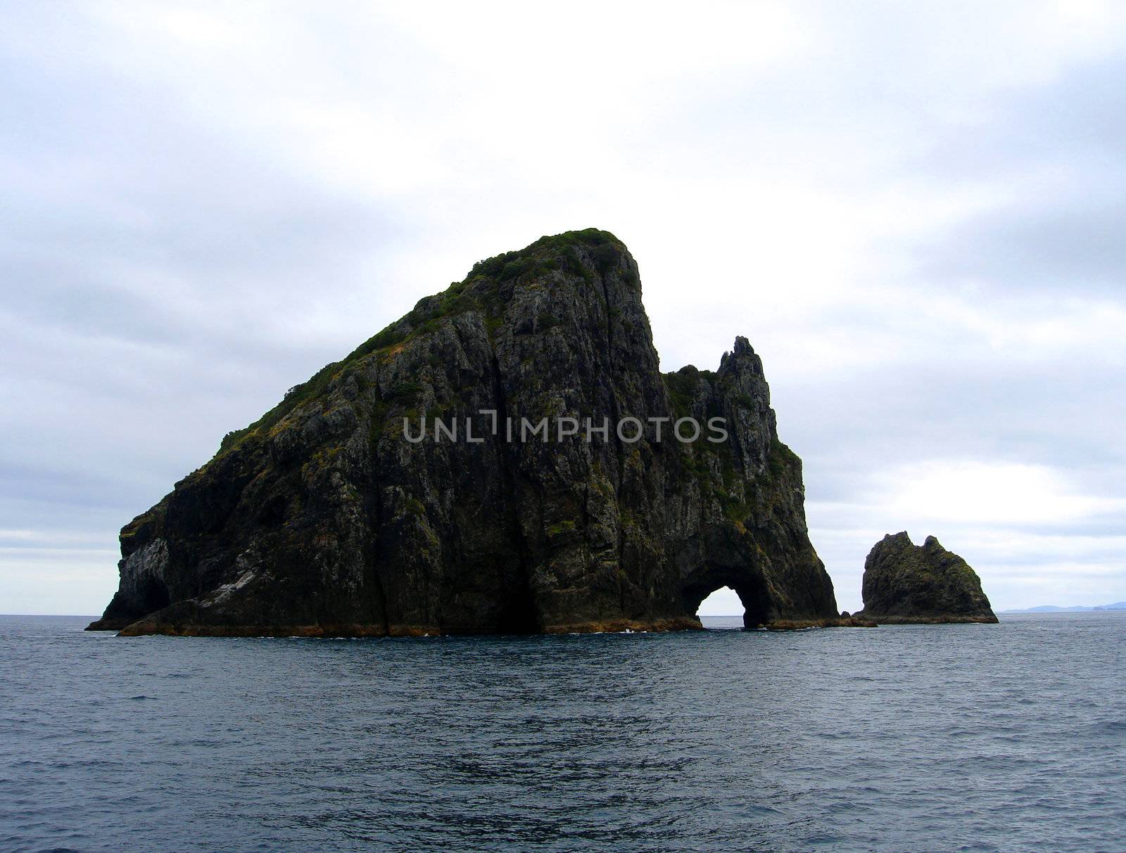 Hole in the Rock (Motukokako Island), New Zealand by Cloudia