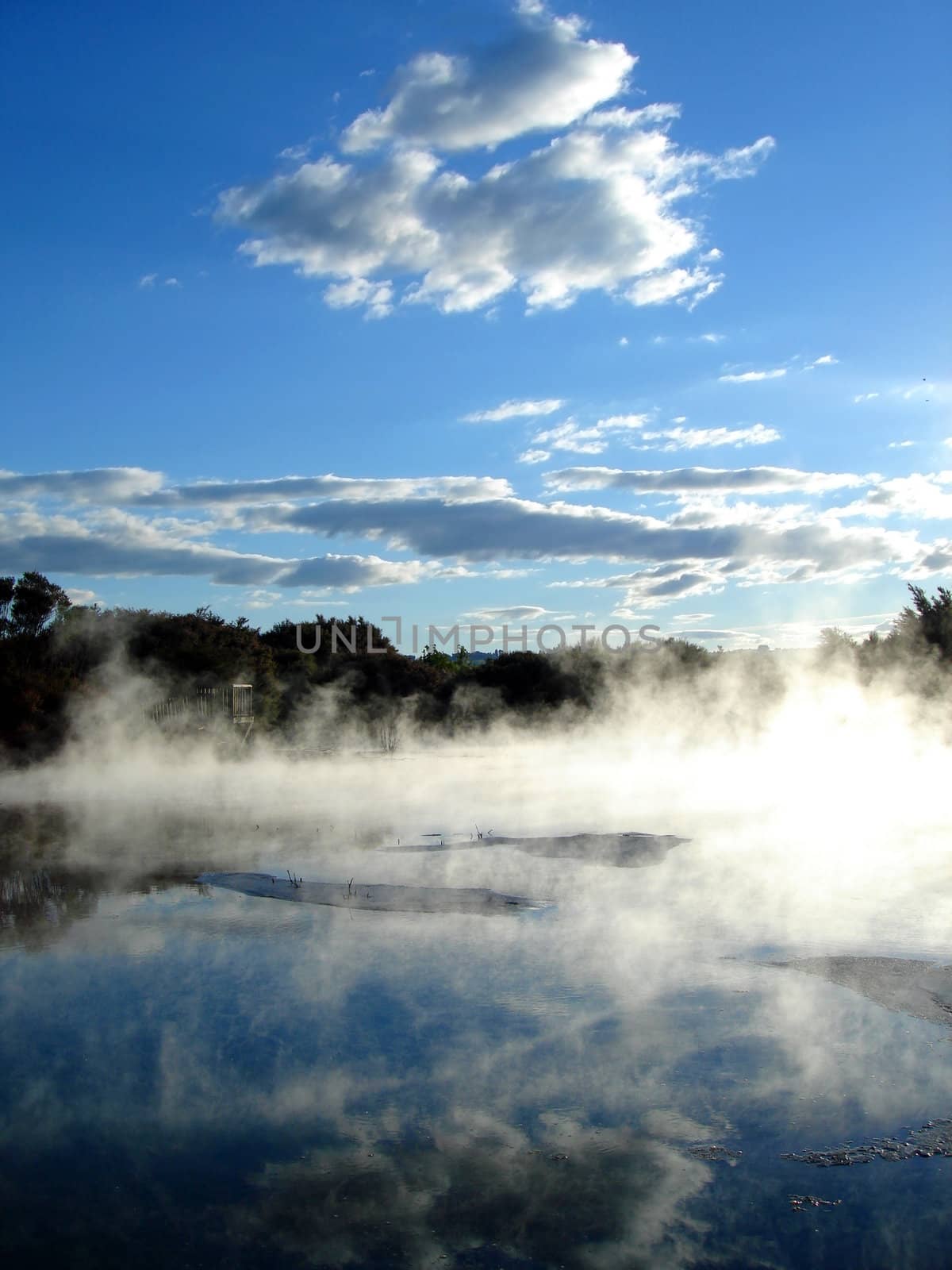 Geothermal activity in Kuirau Park, Rotorua, New Zealand
