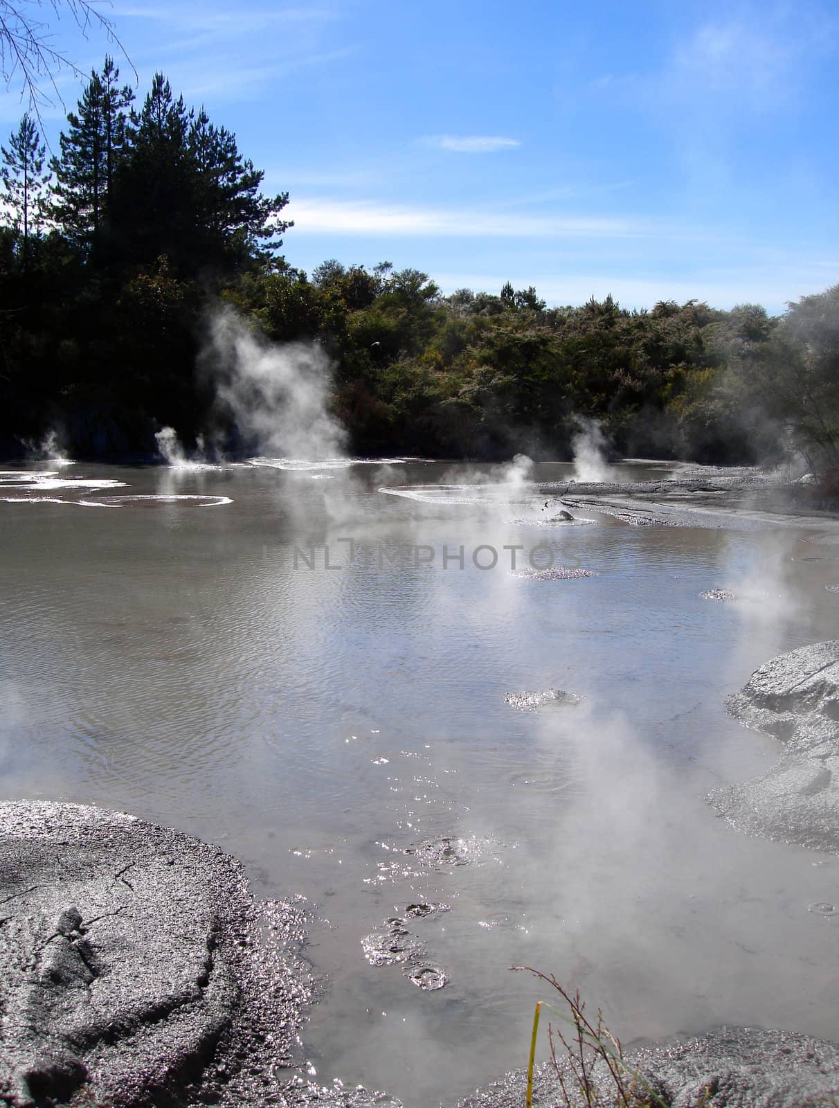 Geothermal Activity, Rotorua, New Zealand by Cloudia