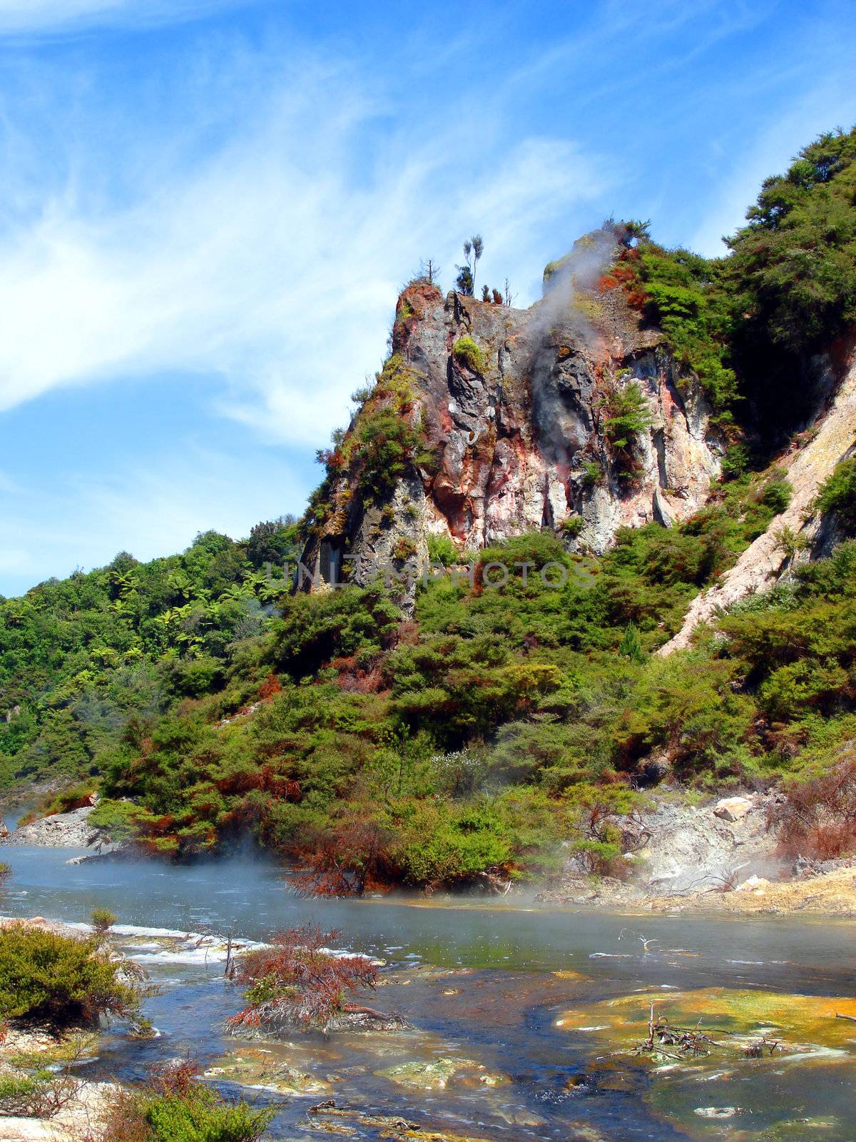 Geothermal Vents And Stream At Waimangu, Rotorua, New Zealand