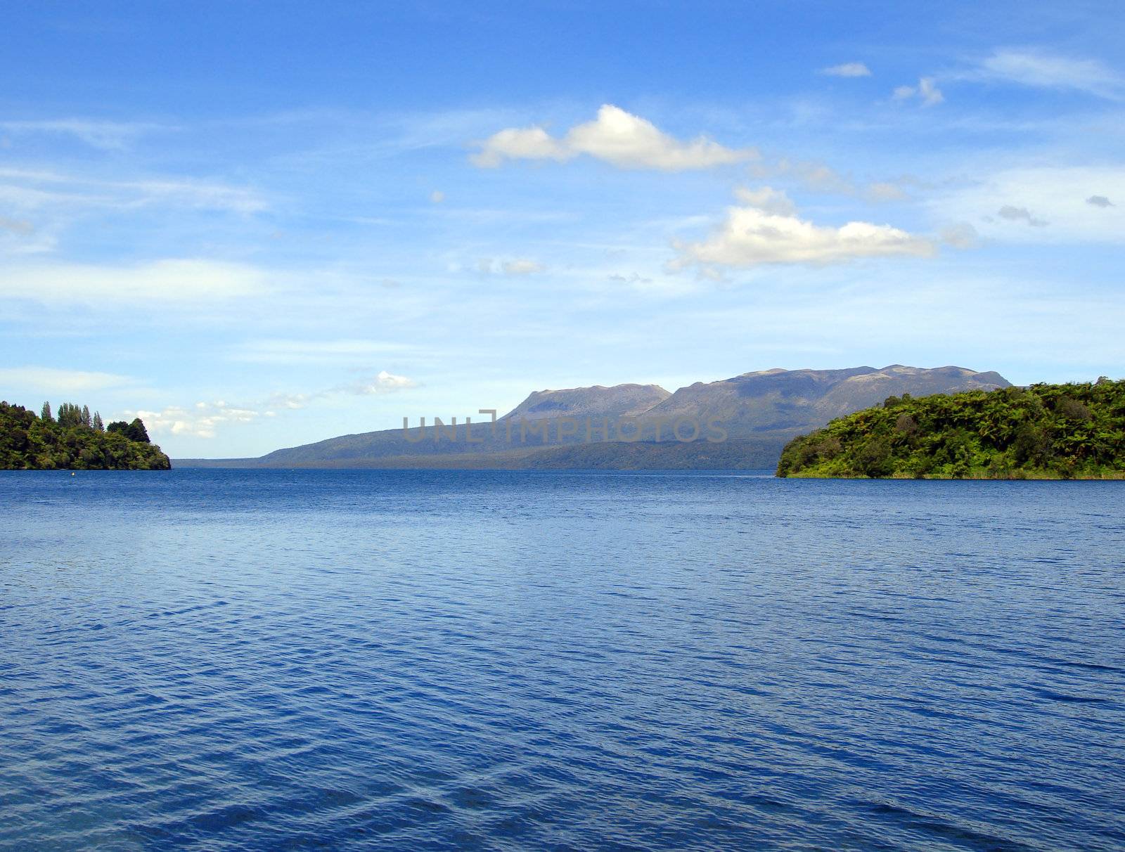 Ripples on Lake Tikitapu (Blue Lake), Rotorua, New Zealand by Cloudia