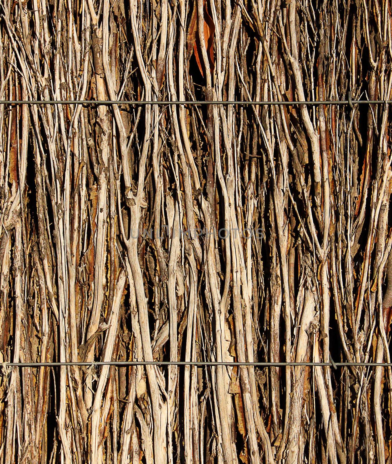 Sticks within a Brush Fence Background