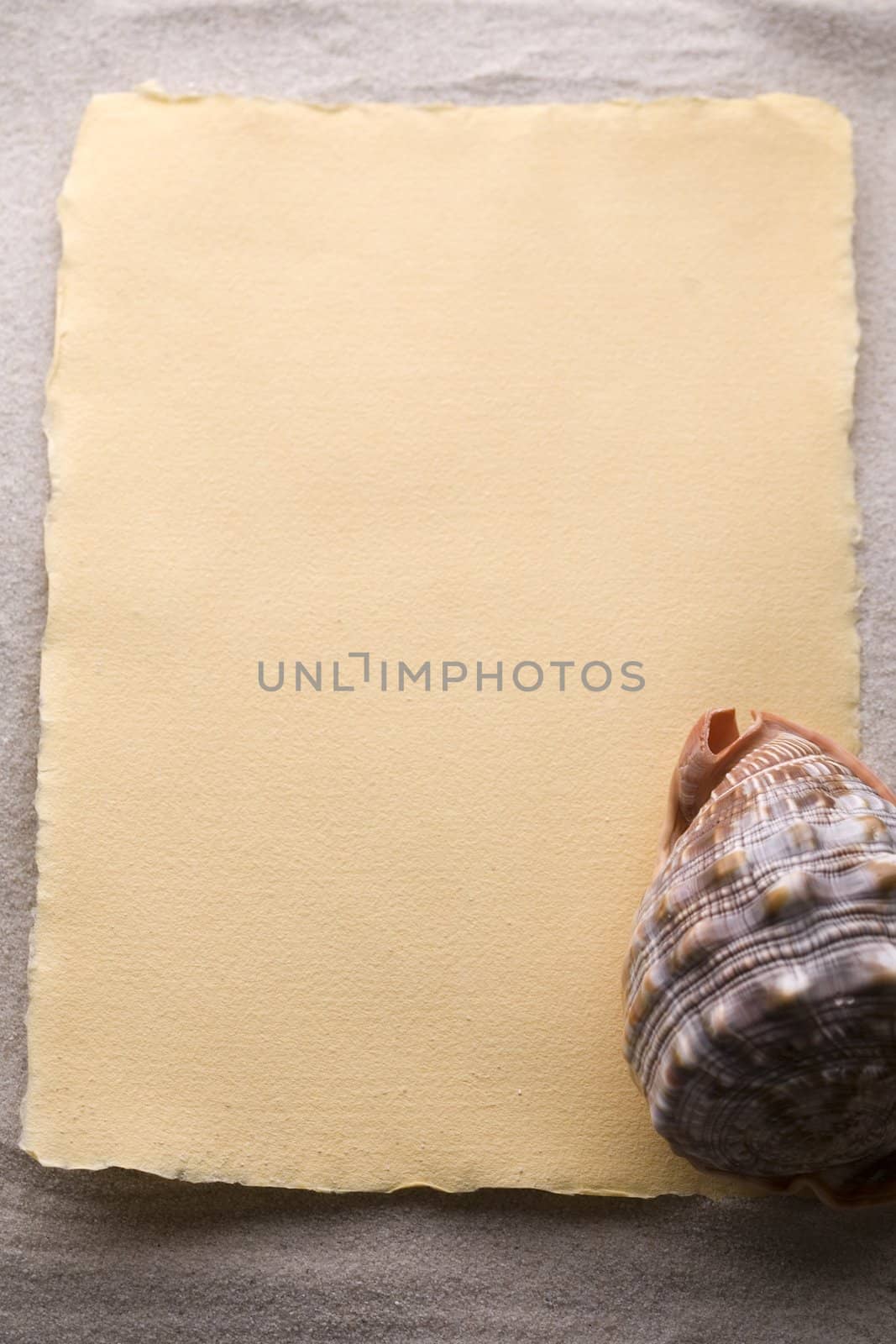 Old yellow paper and shell on sand