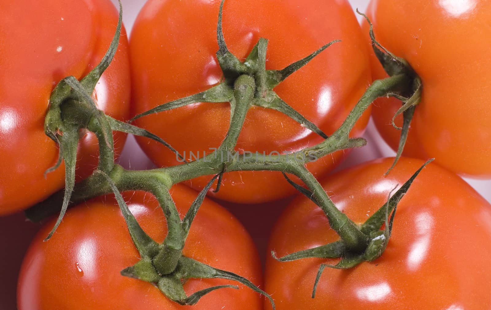 Cocktail tomatoes on the vine 