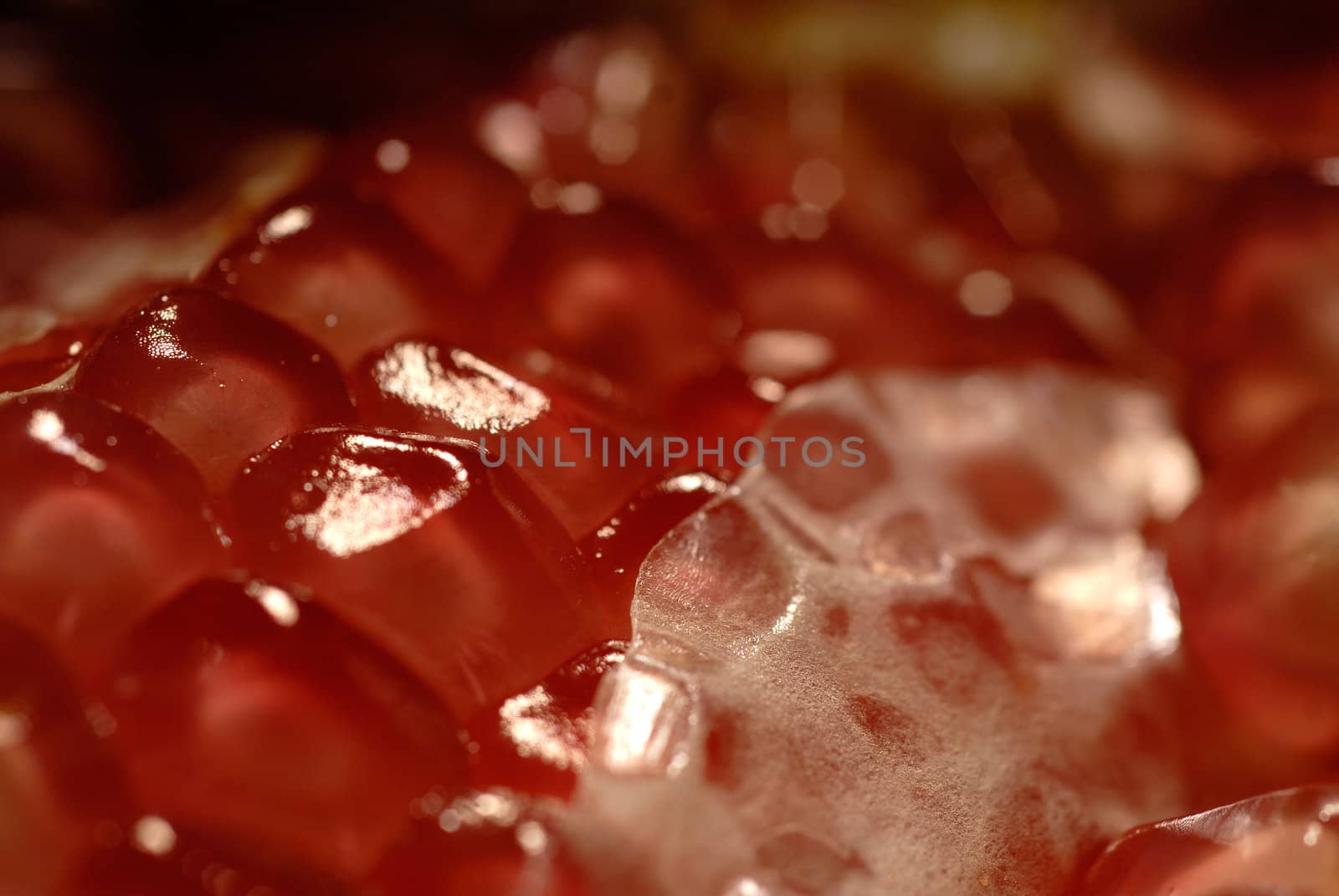 dettail close up of a pomegranate fruit open in half