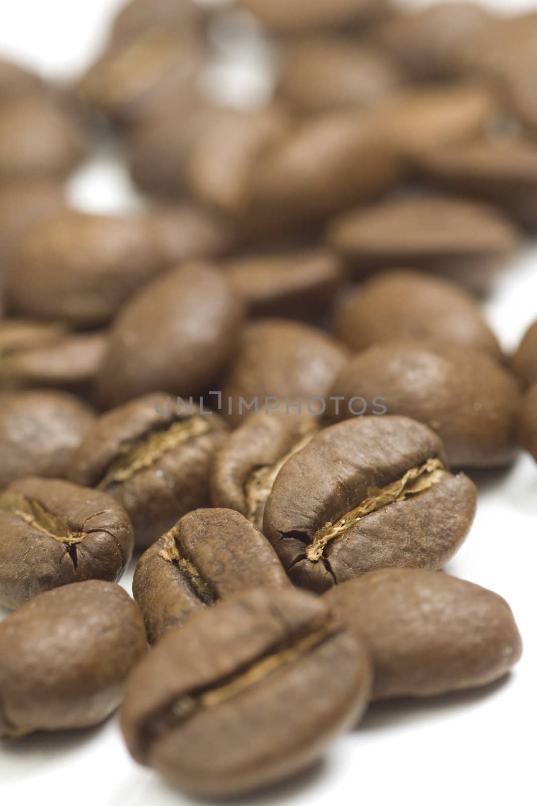 Raw coffee beans mackro shot on white background