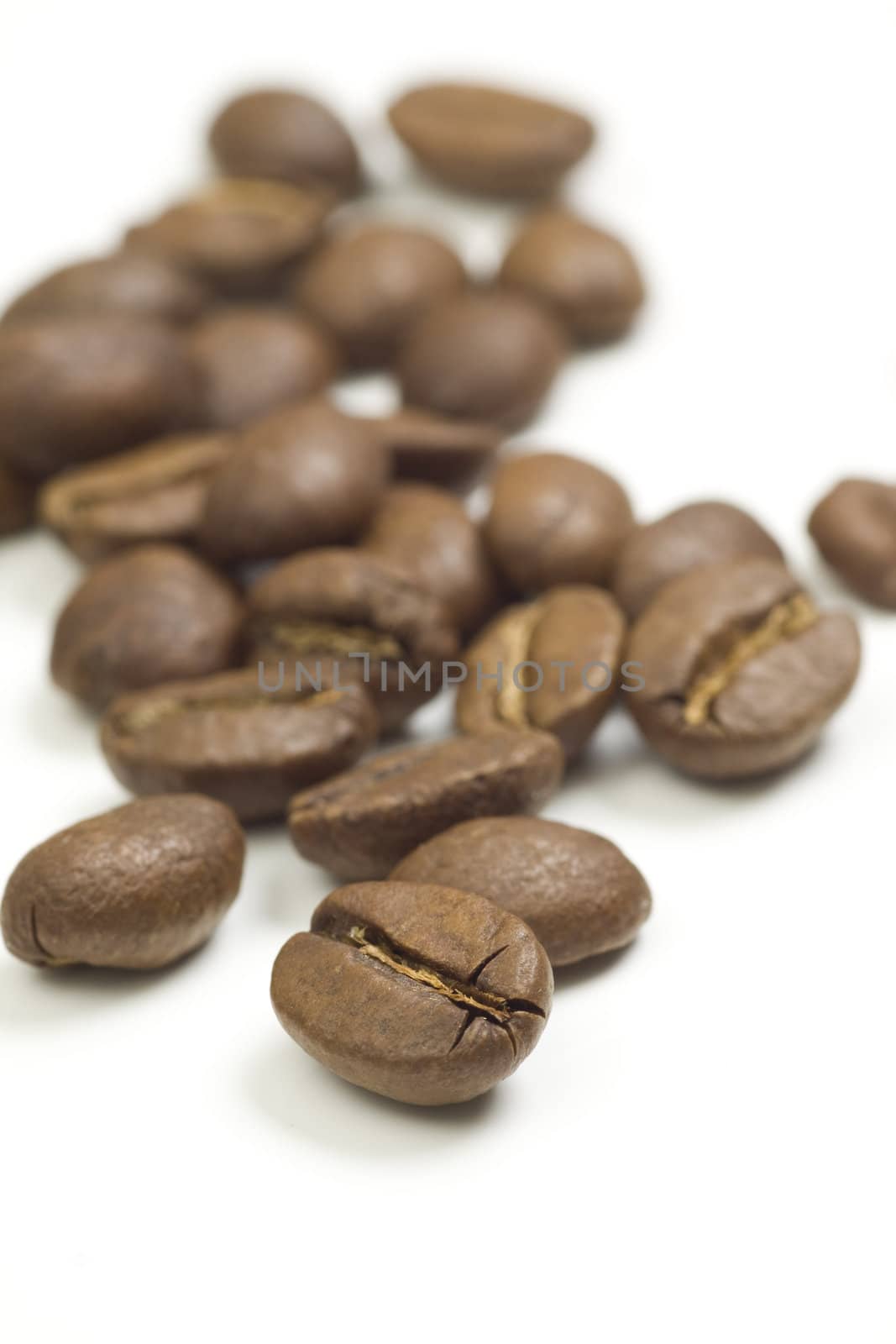 Raw coffee beans mackro shot on white background