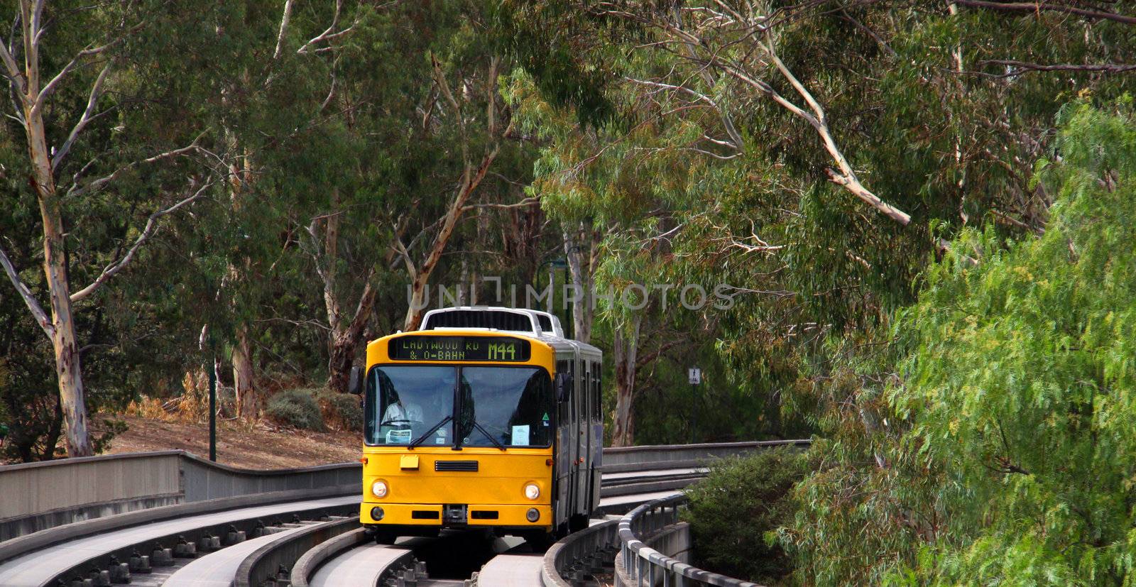 Bus traveling at high speeds on the O-bahn Track, Adelaide, Aust by Cloudia