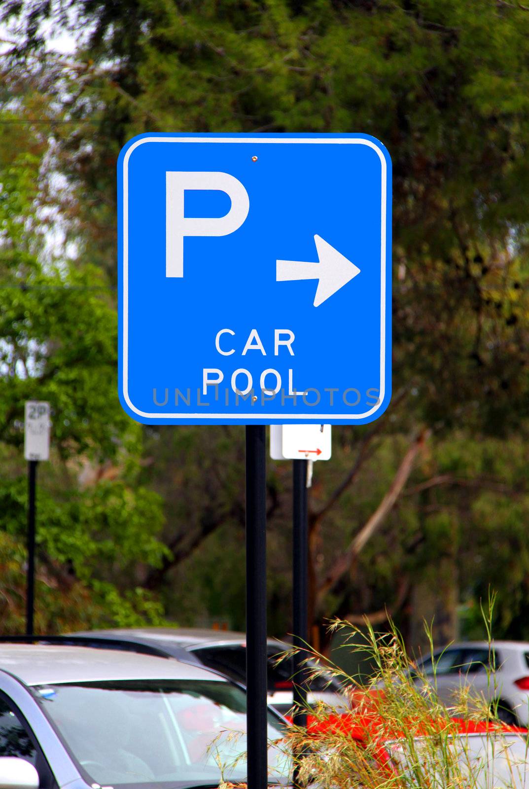 Car Pool Parking Sign - Current Australian Road Sign by Cloudia