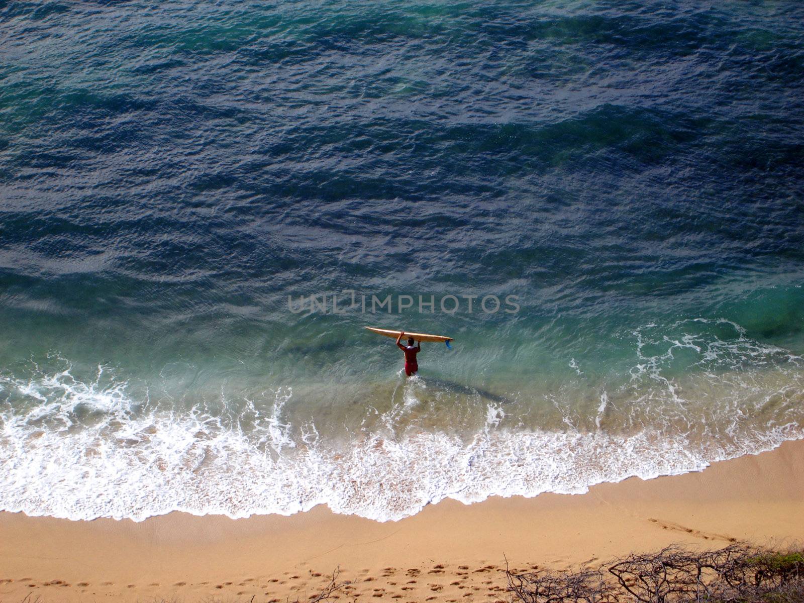 Aerial view of Surfer carrying surfboard into water, Diamond Head Beach, Hawaii