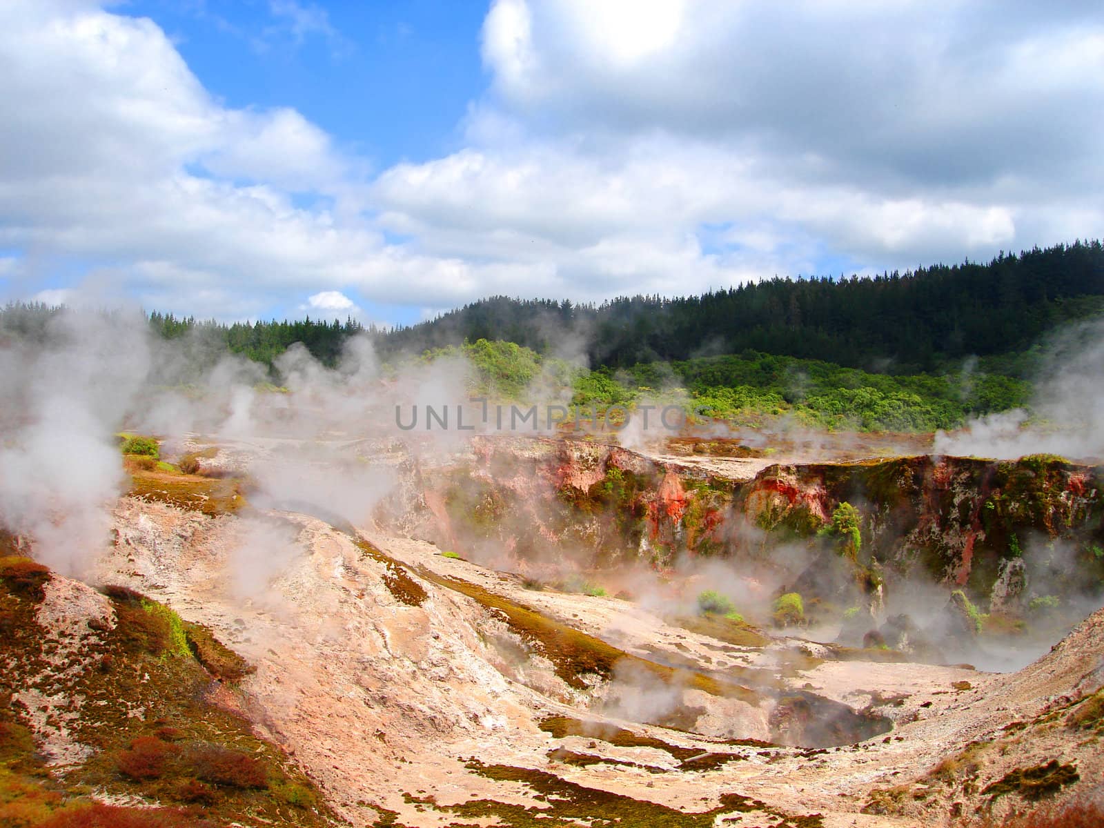 Geothermal Activity of Hell's Gate (between Rotorua and Taupo), New Zealand