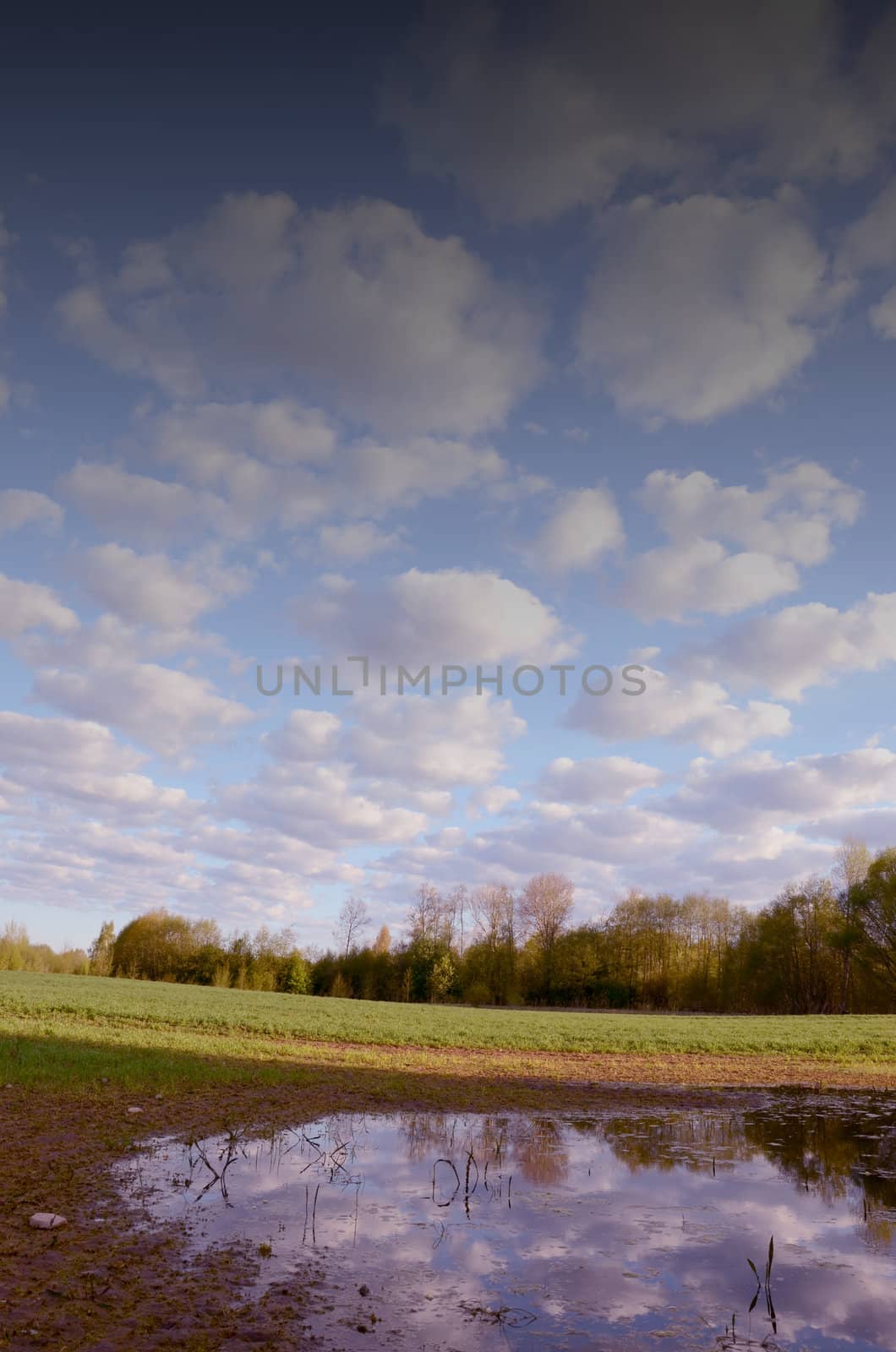 Large swamp in the fields after the rainy period. Forest in the distance and the cloudy sky.