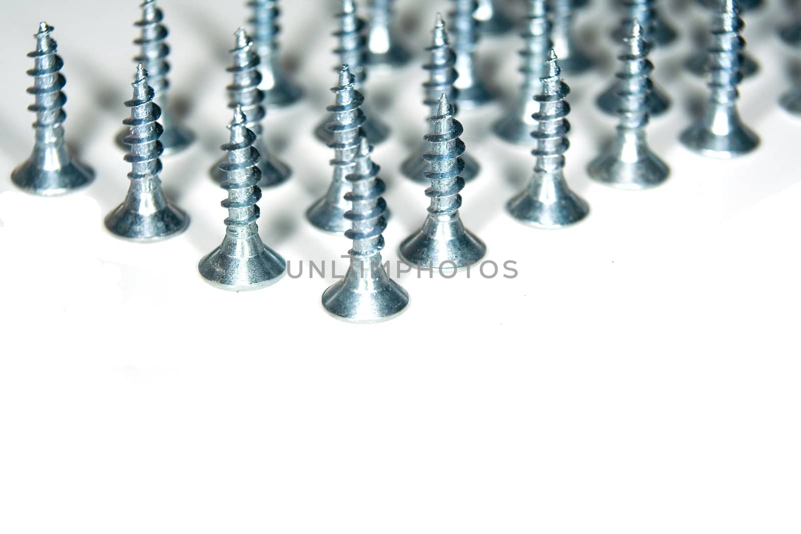 Iron screw on white background.