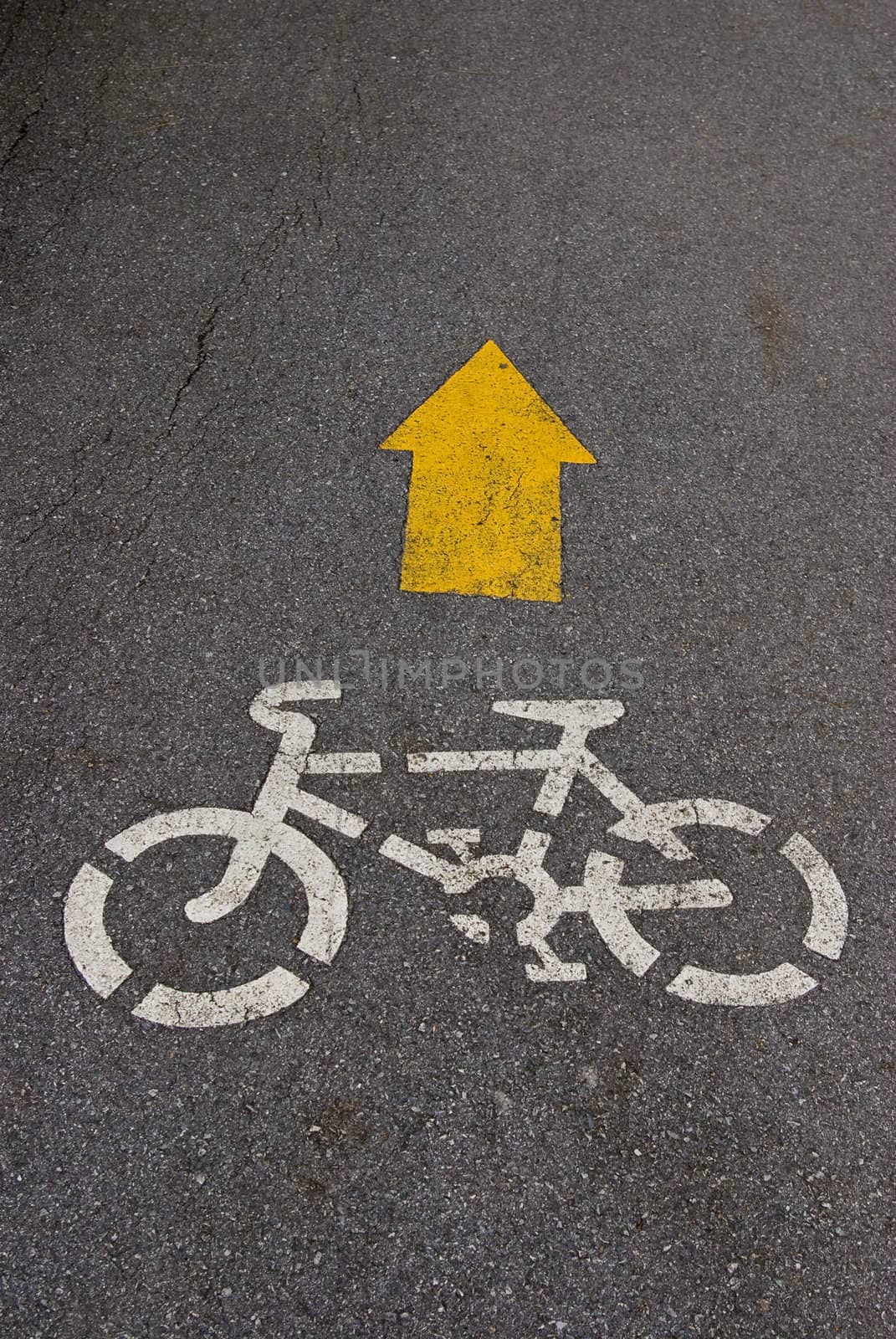 Bike way sign on the road by pixbox77