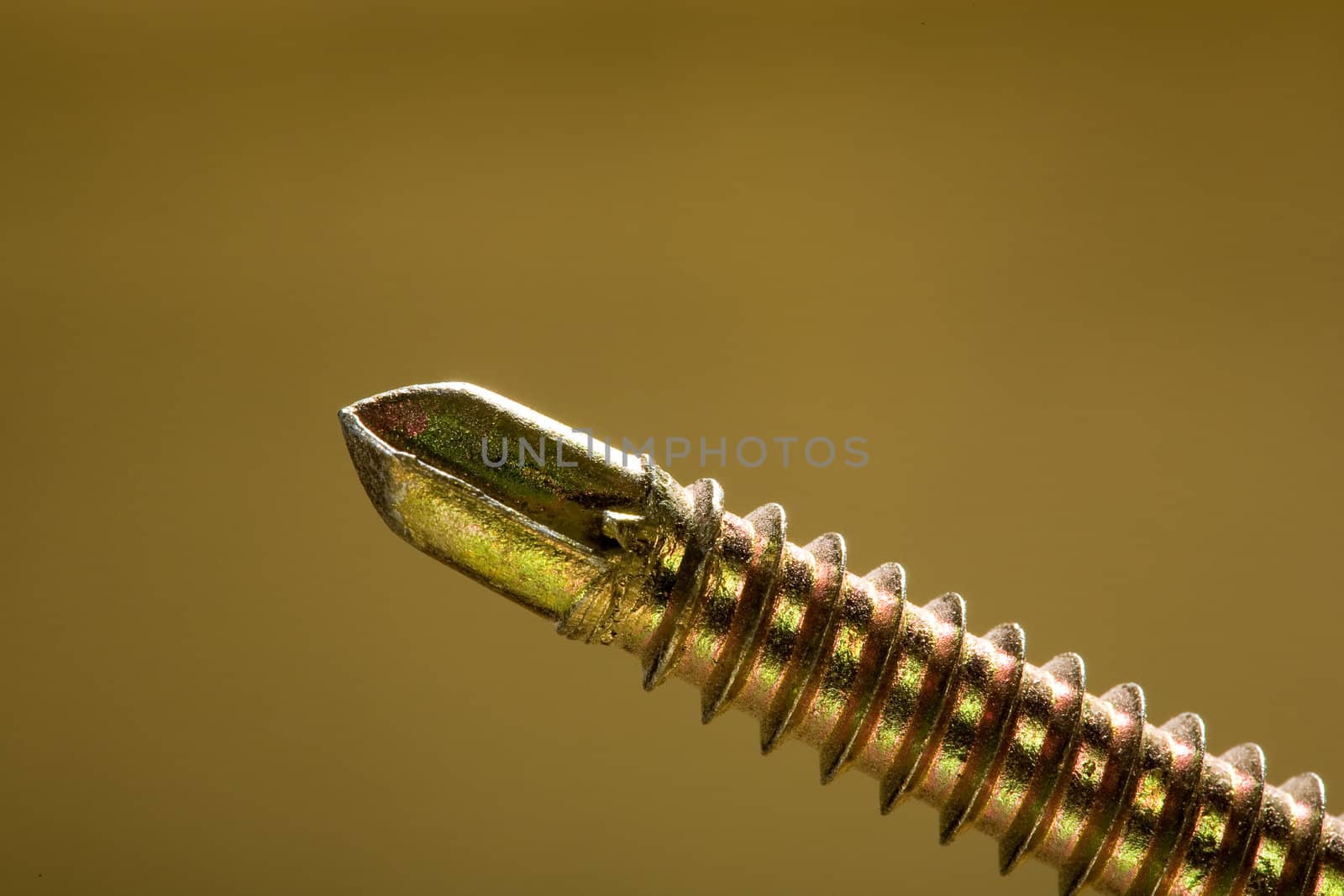 gold metal Drilling screw,  on gold background, close-up, studio