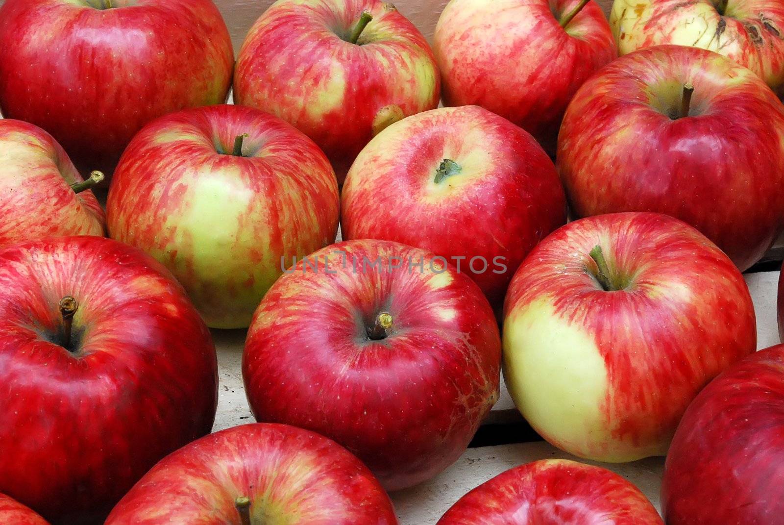 Red Apples Stacked in Rows