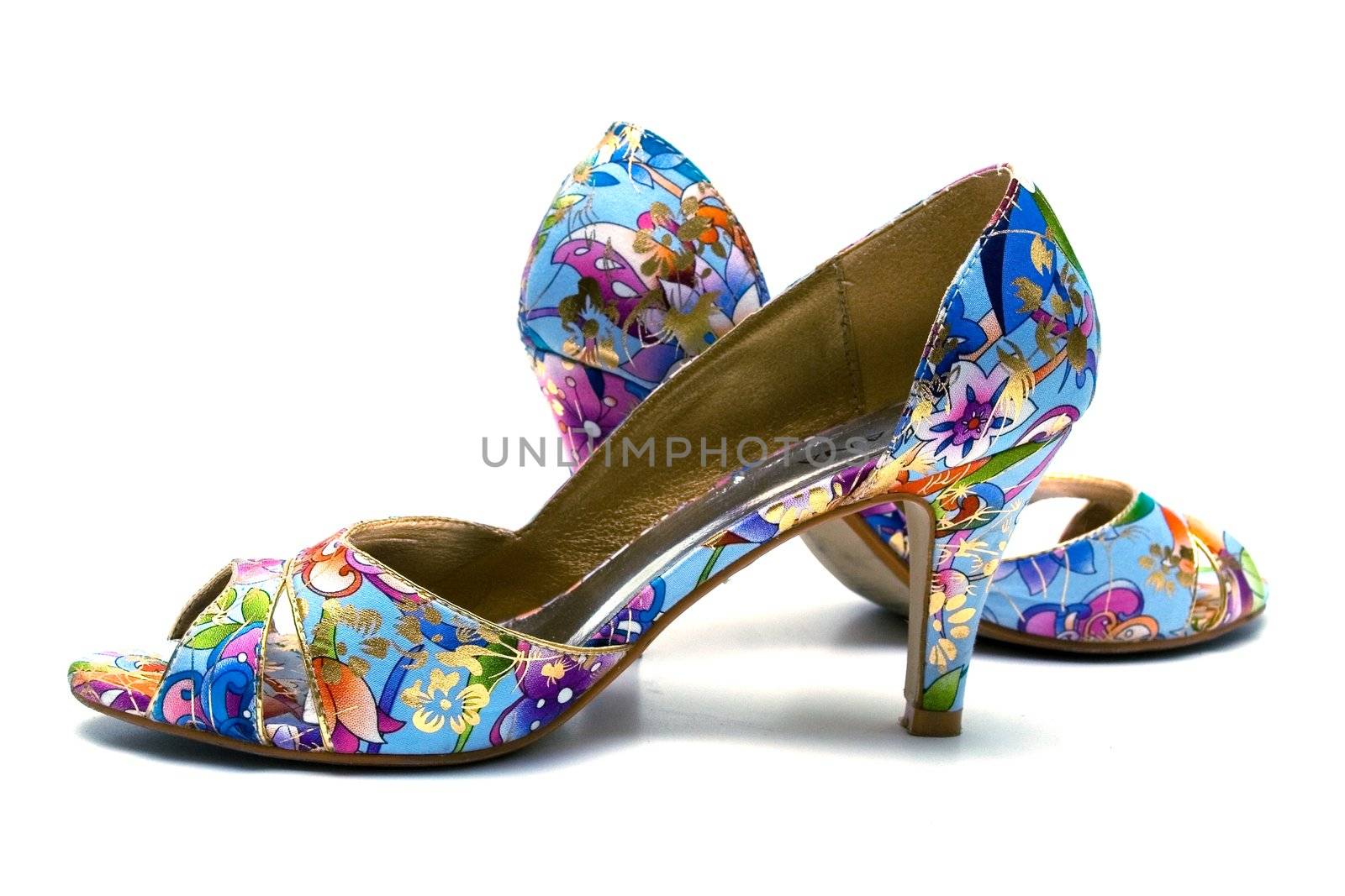 Elegant female shoes by Vladimir