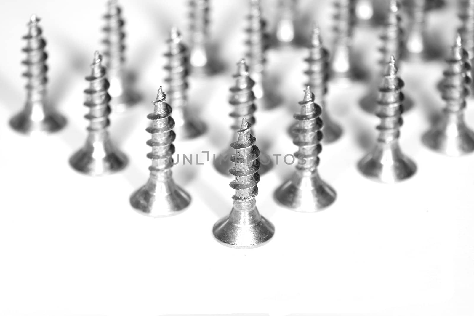 Iron screw on white background.