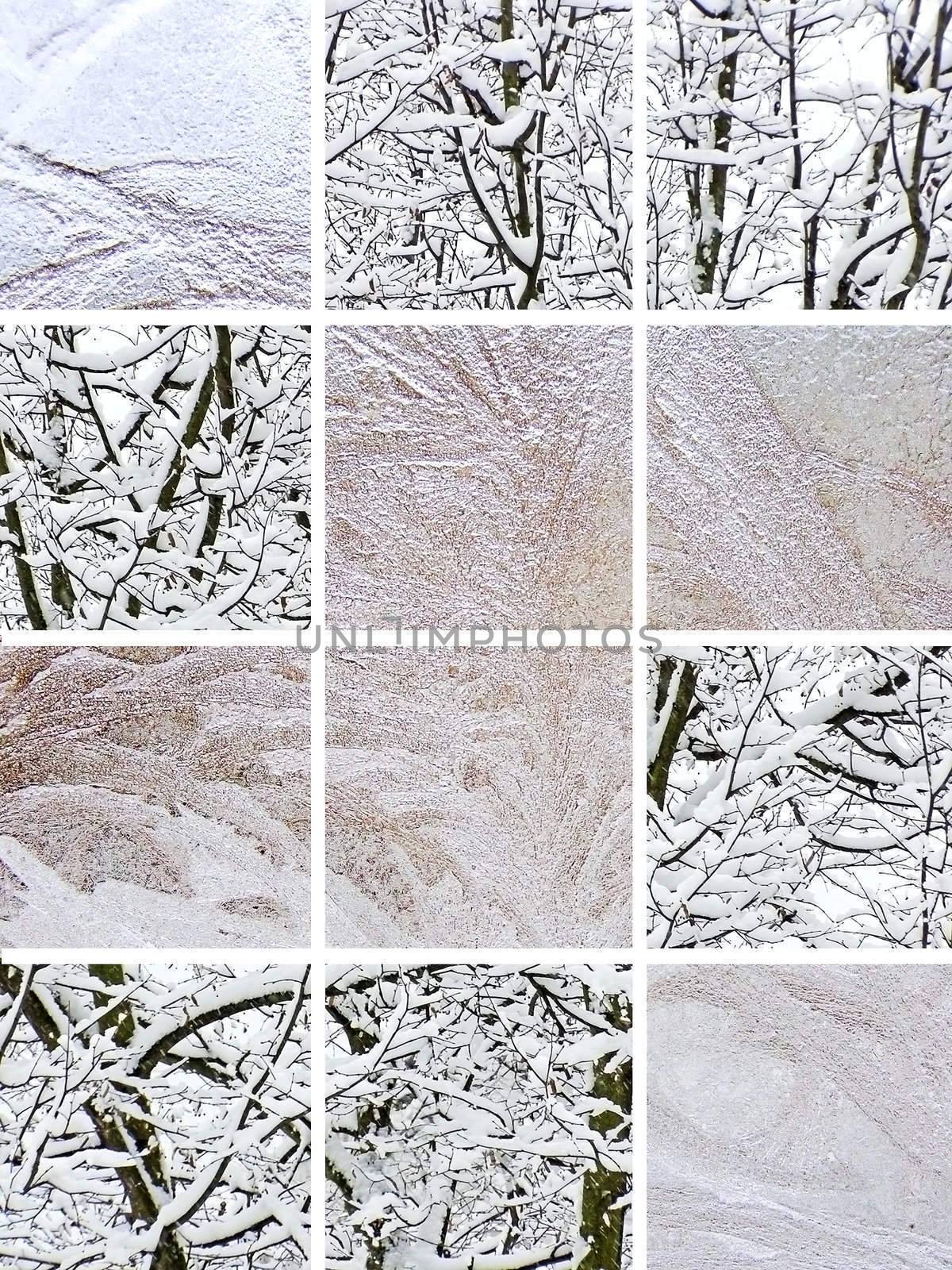 Winter frost window and white branchs of tree photo collage