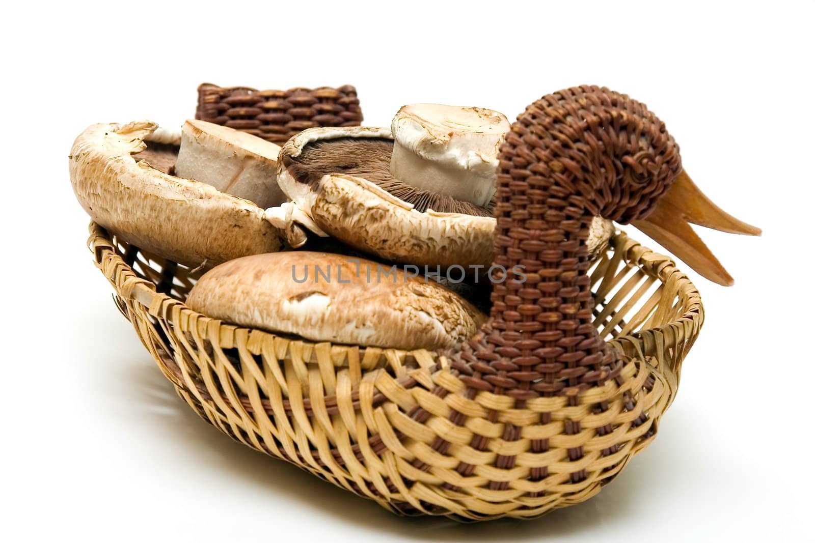 Edible mushrooms Portabello on white background