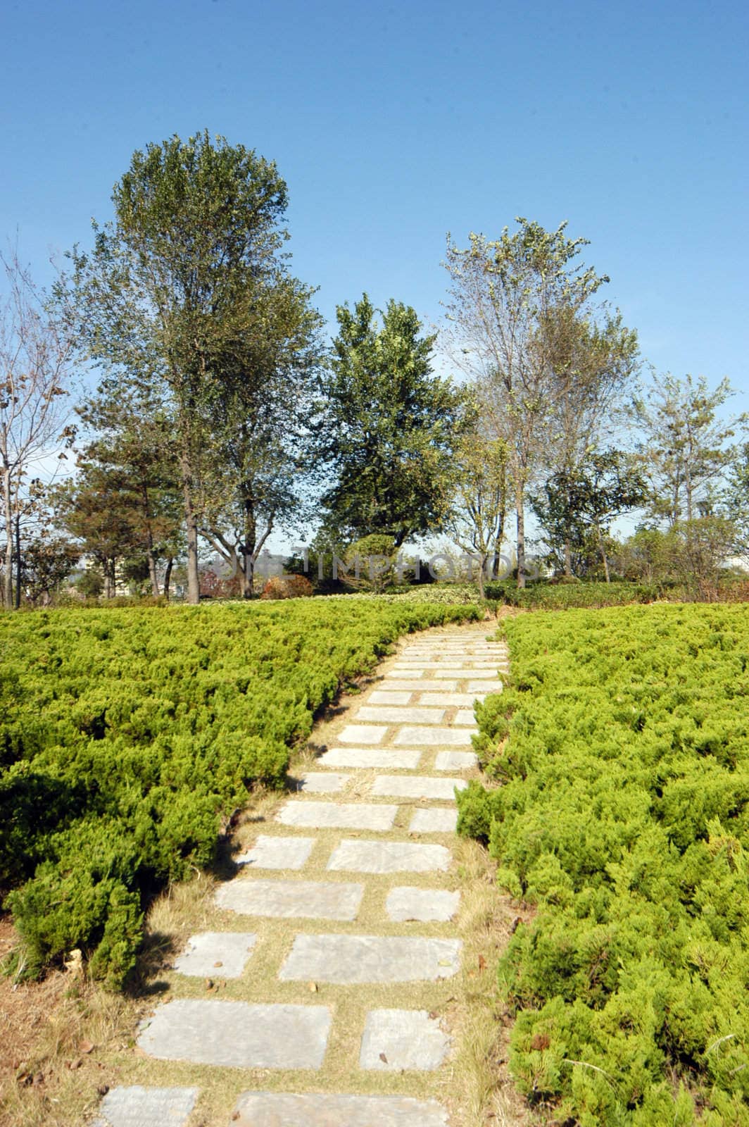 Cities squares parks Zaozhuang Shandong