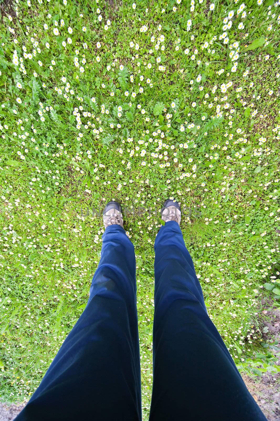man's feet on daisy field - ultra wide angle at 12mm and full frame camera