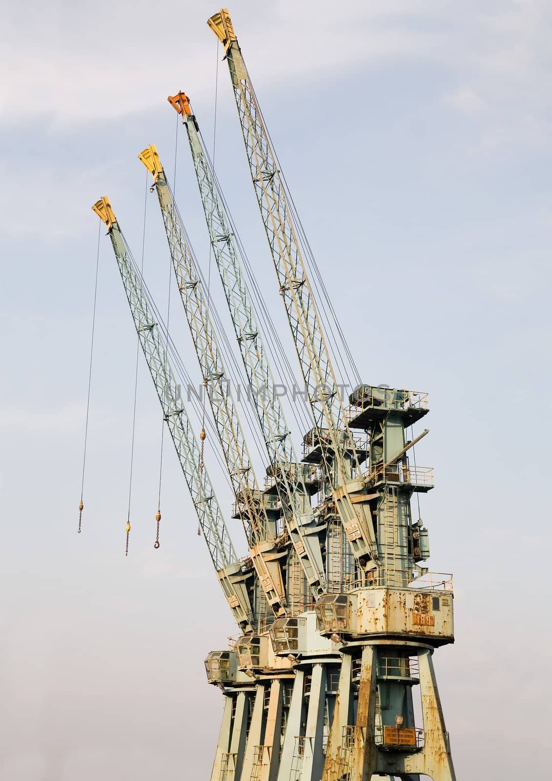 big cranes in the harbour by furzyk73