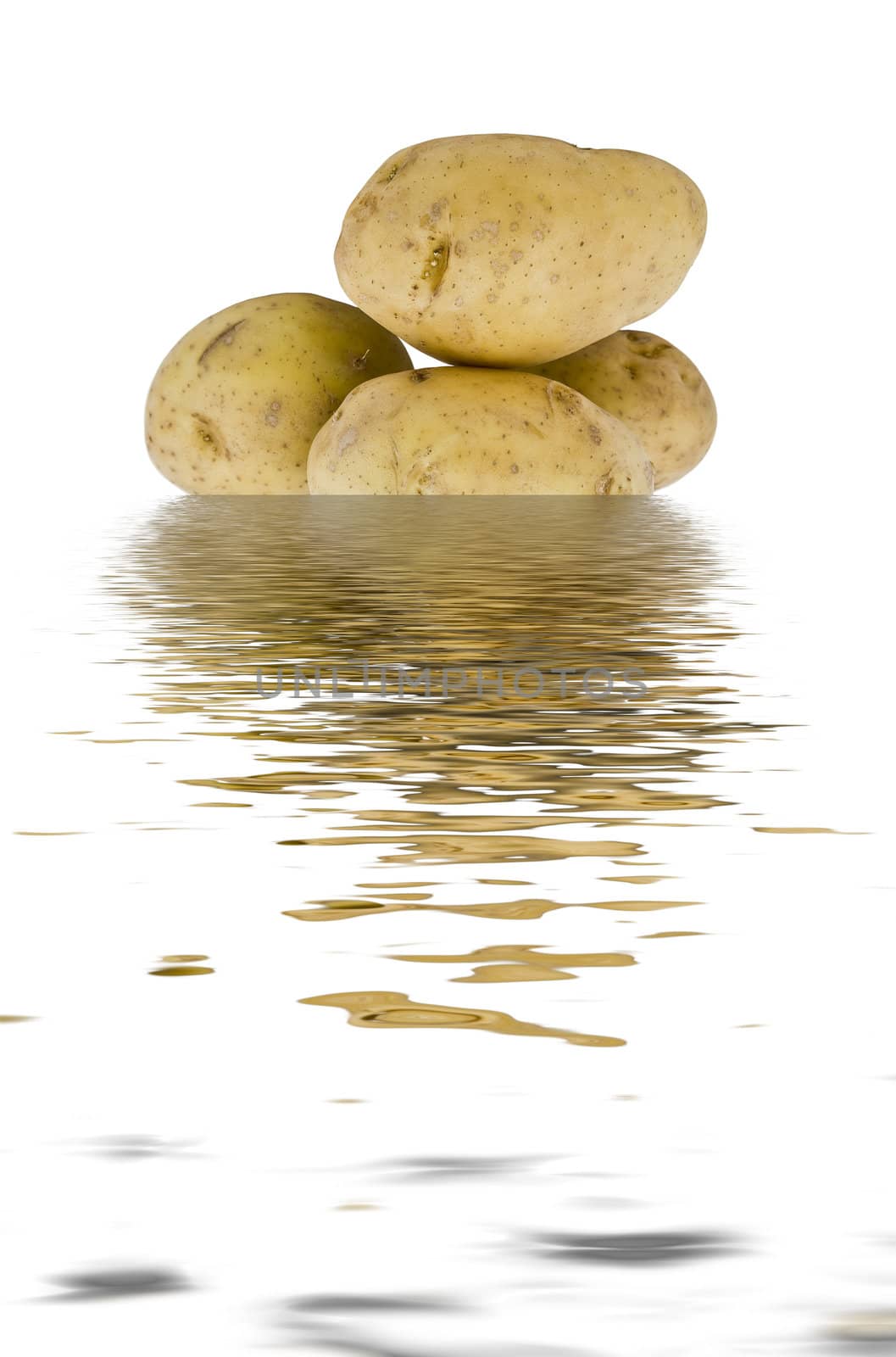 young potatoes in the water by furzyk73
